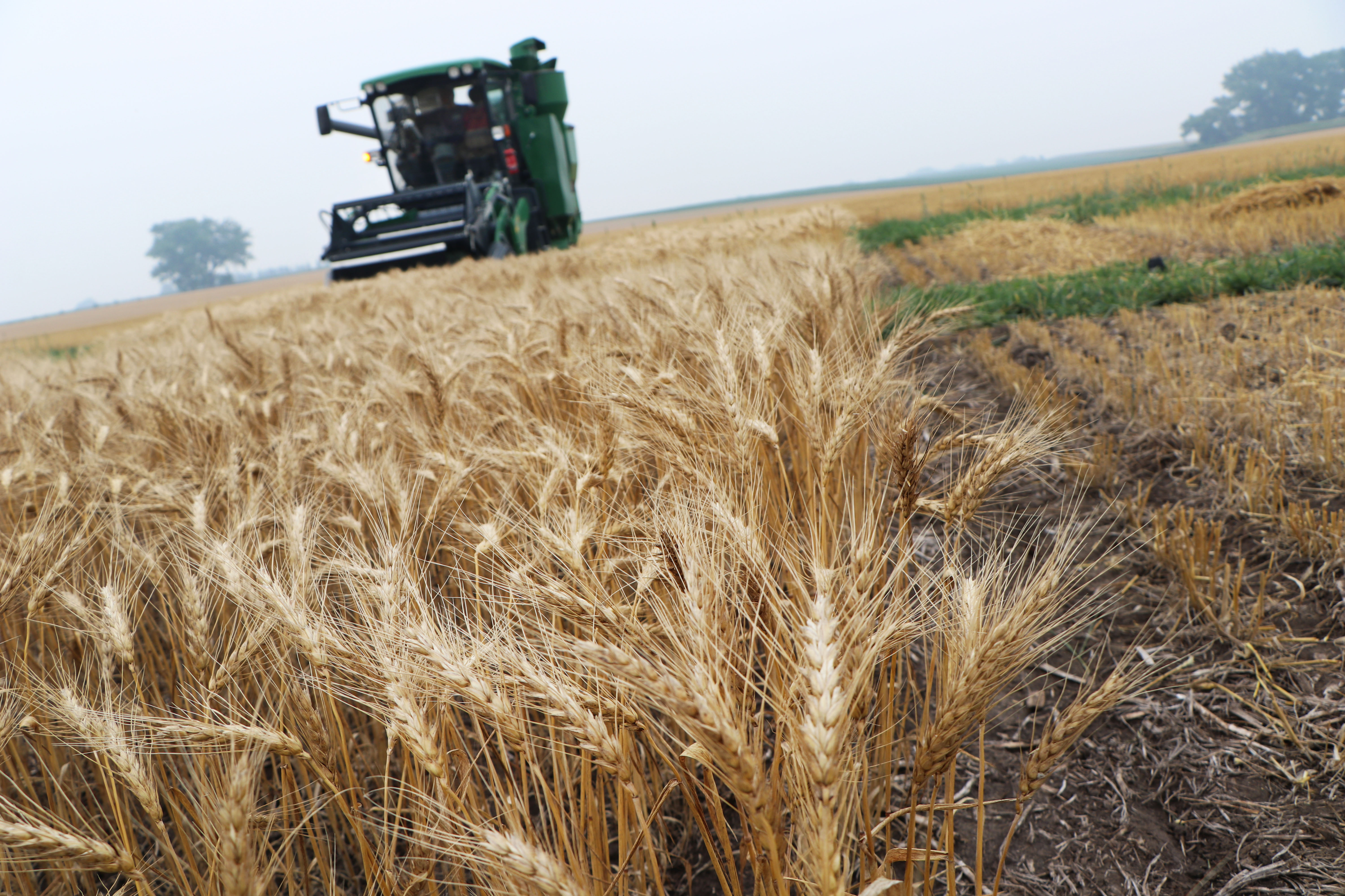 Farm income up in Minnesota in 2021 but varies greatly by region - Vimarsana News