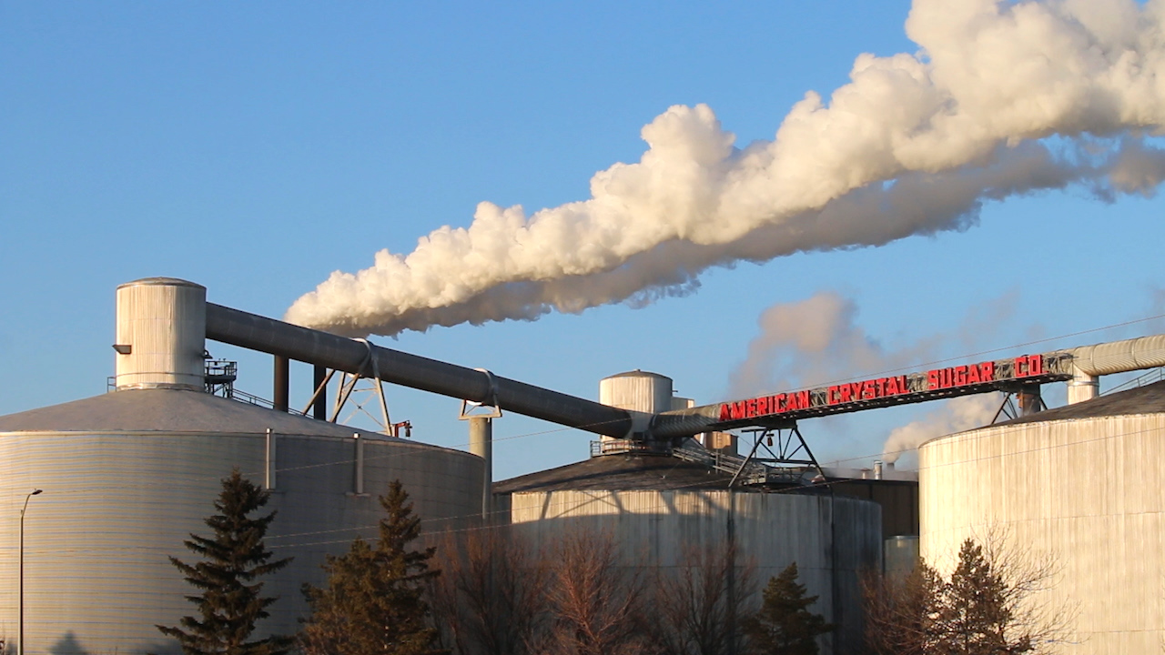 American Crystal Sugar employees have accepted contract offer, union official says - Vimarsana News