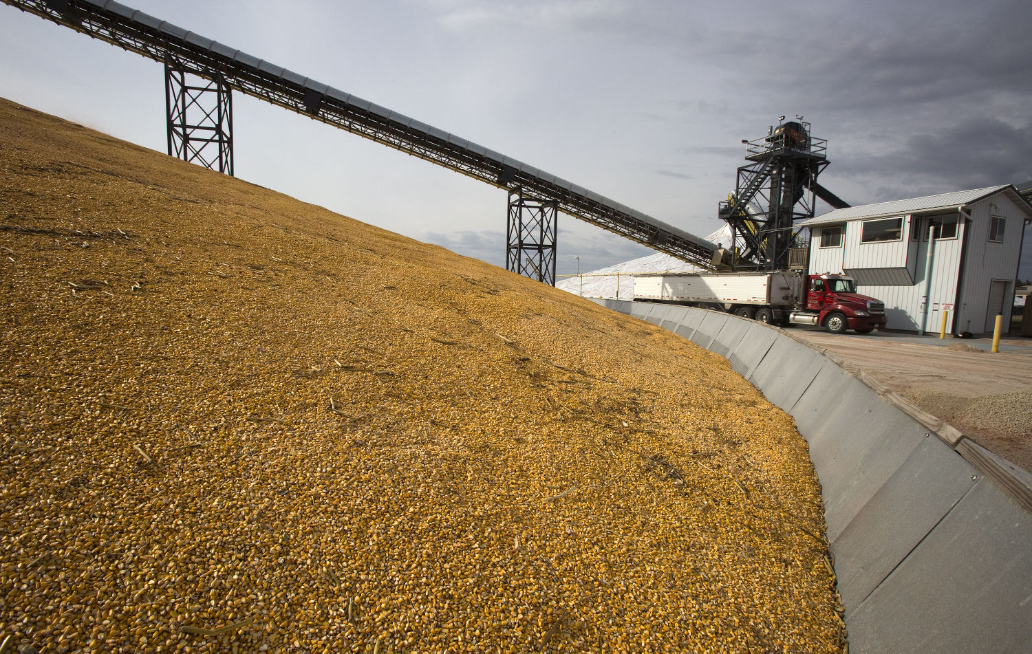 Weather flip flop brings mixed results for grain market - Vimarsana News