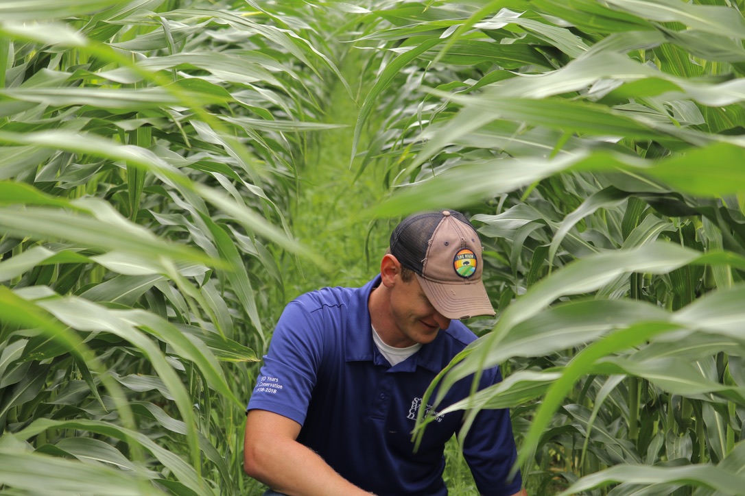 Olmsted County SWCD unveils $3 million groundwater protection and soil health initiative - Vimarsana News