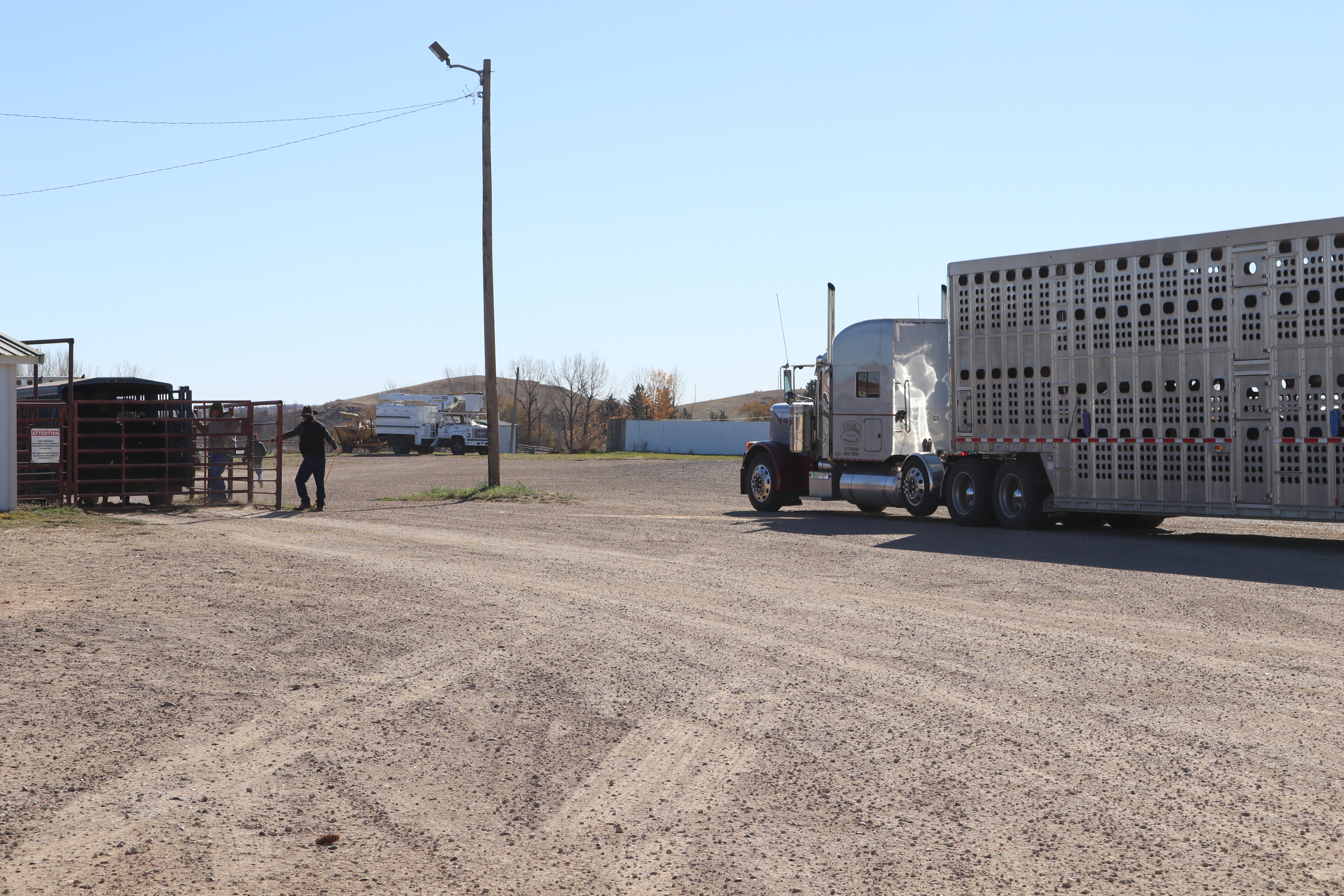 New owners take the reins at Stockmen's Livestock Exchange - Vimarsana News