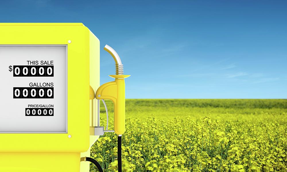 Biofuels timeline reveals 'incredible accomplishment' - Vimarsana News