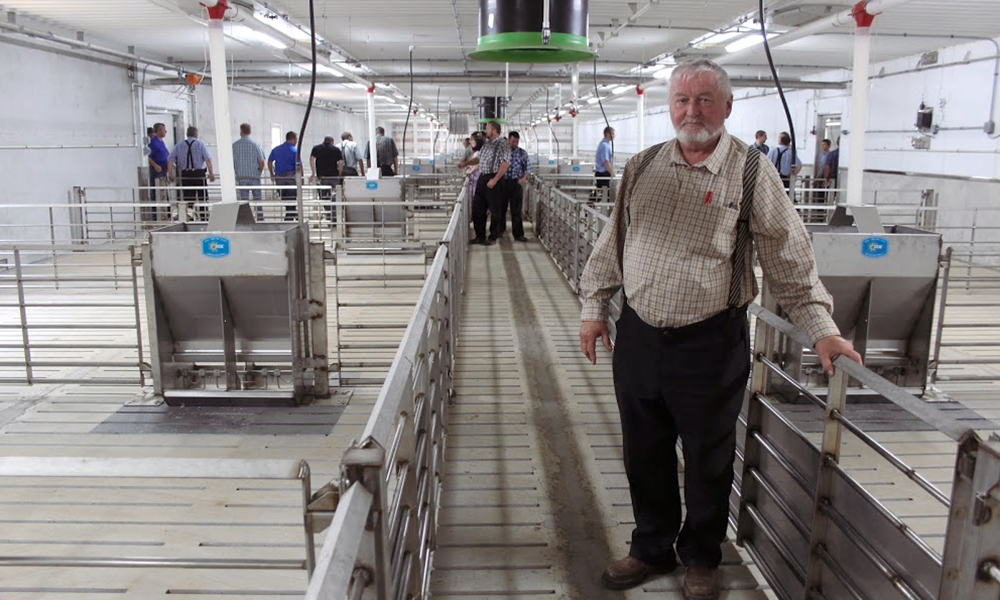 Oak Lane colony completes $10,000 hog facility - Vimarsana News
