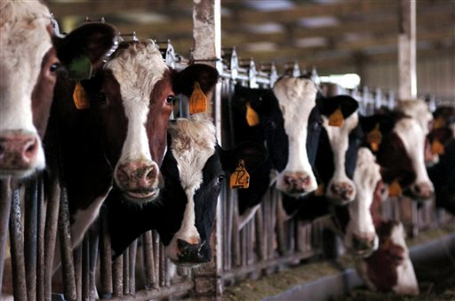 First case of highly pathogenic avian influenza found in South Dakota dairy herd - Vimarsana News