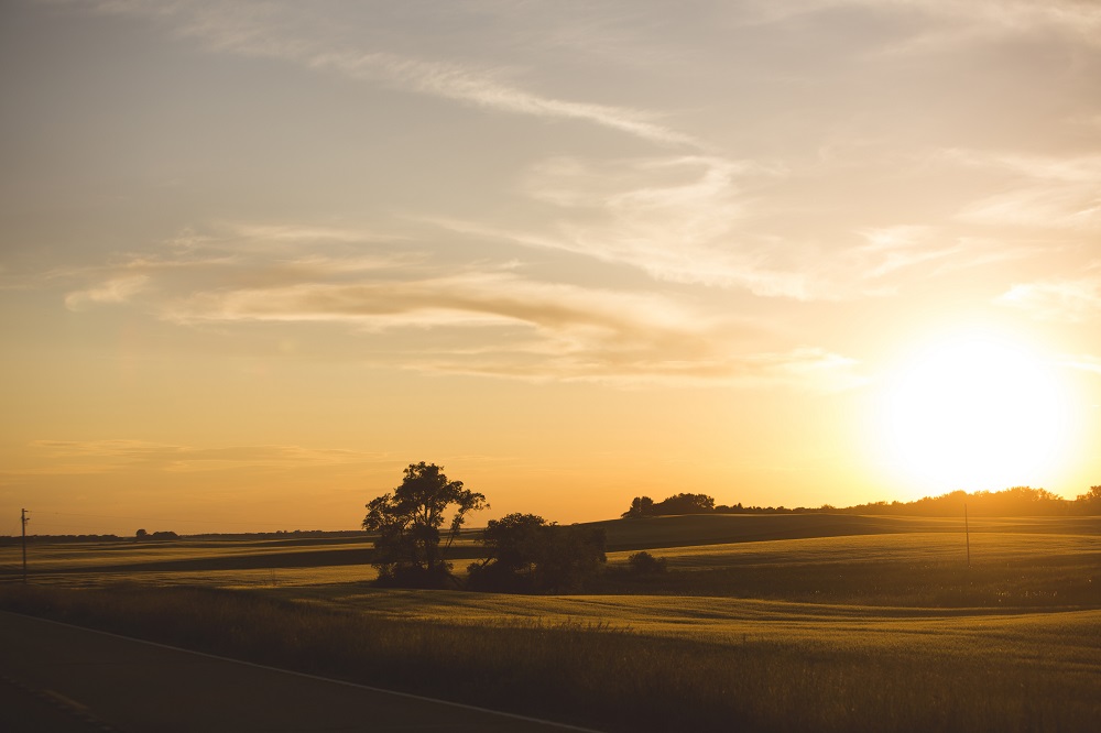 What constitutes true ag success? It's more than the bottom line - Vimarsana News