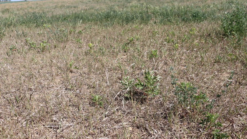 Very few 2023 farm program payments likely - Vimarsana News