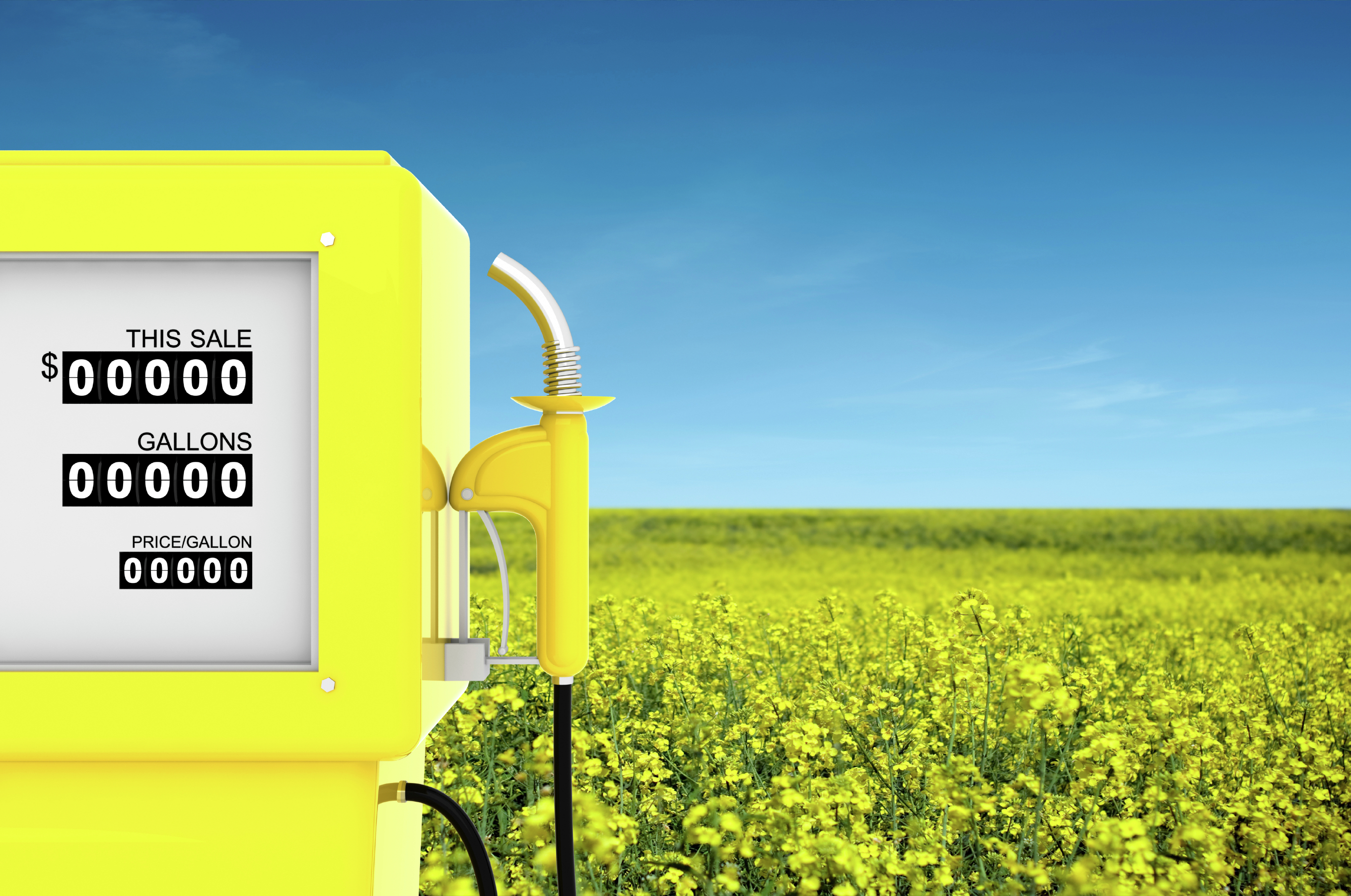 U.S. government may delay decision on electric vehicles biofuel program - Vimarsana News