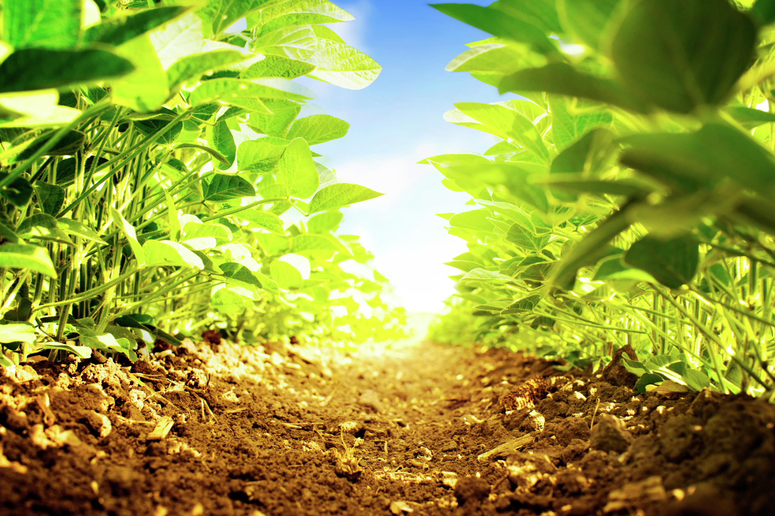 Bunge quarterly profit tops estimates on strong demand; 2023 outlook unchanged - Vimarsana News