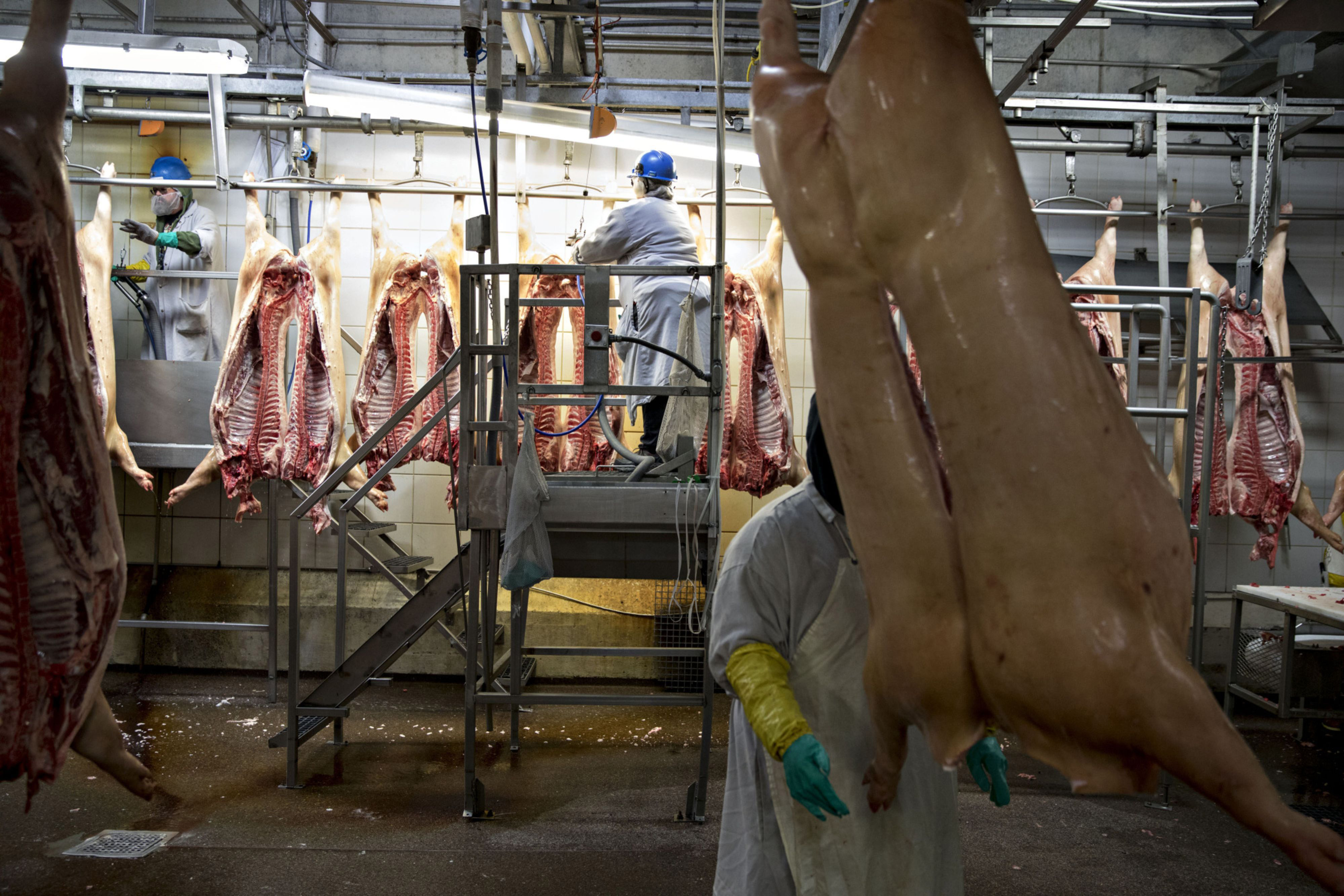 UFCW Locals call on U.S. Senators Klobuchar, Smith to support bill protecting meatpacking workers - Vimarsana News