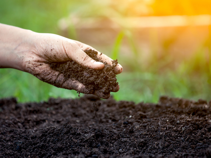 So many differing views on agriculture, so many 'blind spots' - Vimarsana News