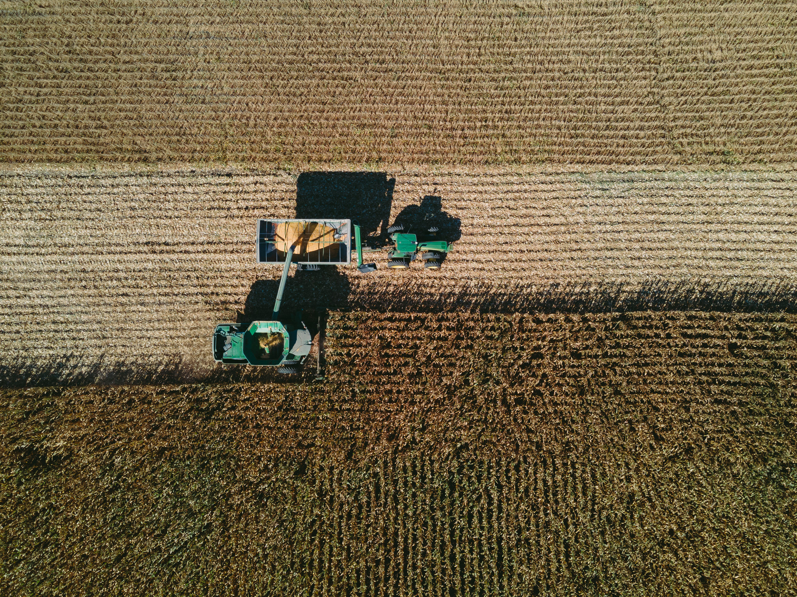 Upper Midwest producers see solid crop yields in 2023 - Vimarsana News