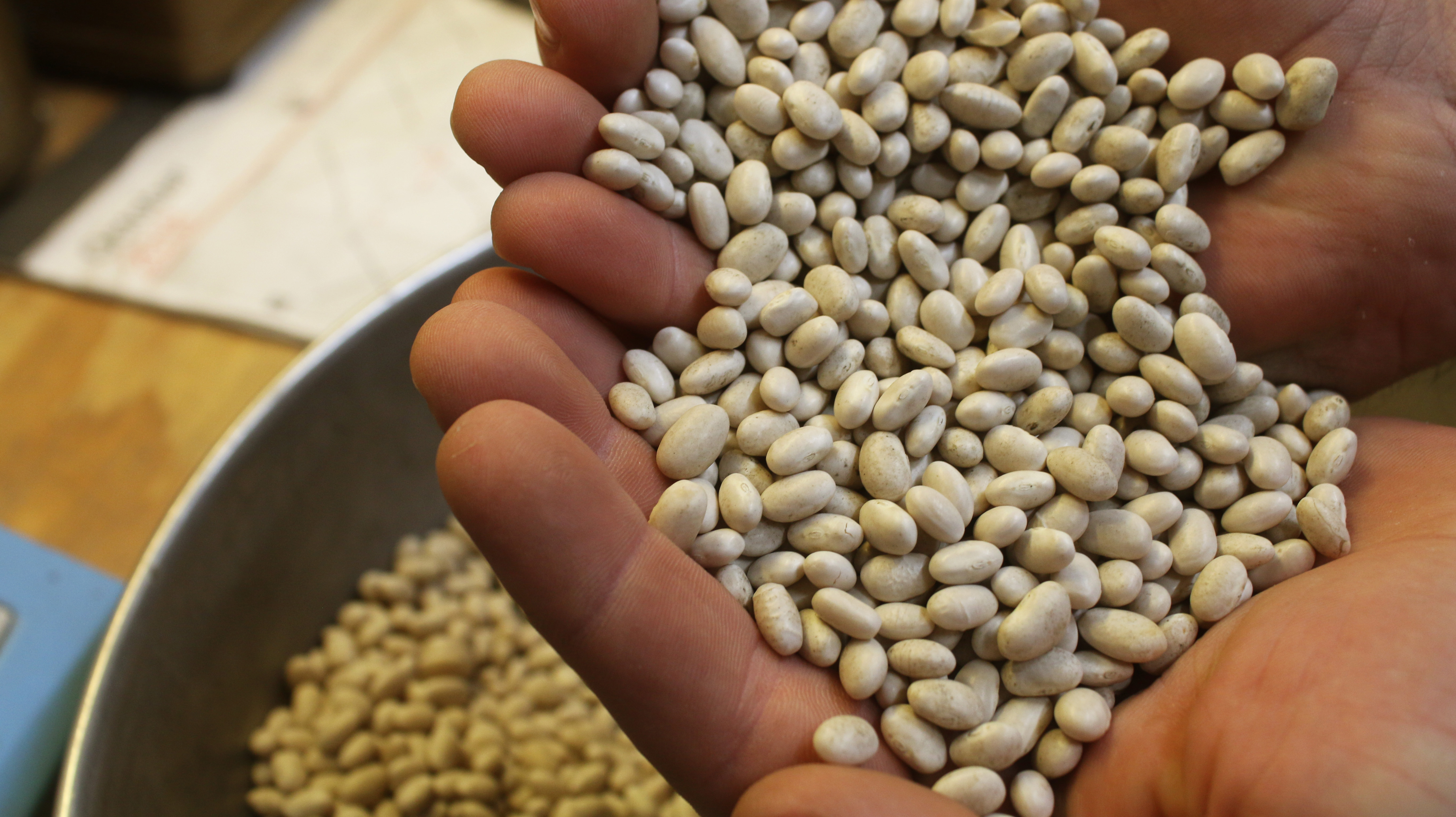 New Minnesota Dry Bean Research and Promotion Council members looking forward to upcoming terms - Vimarsana News