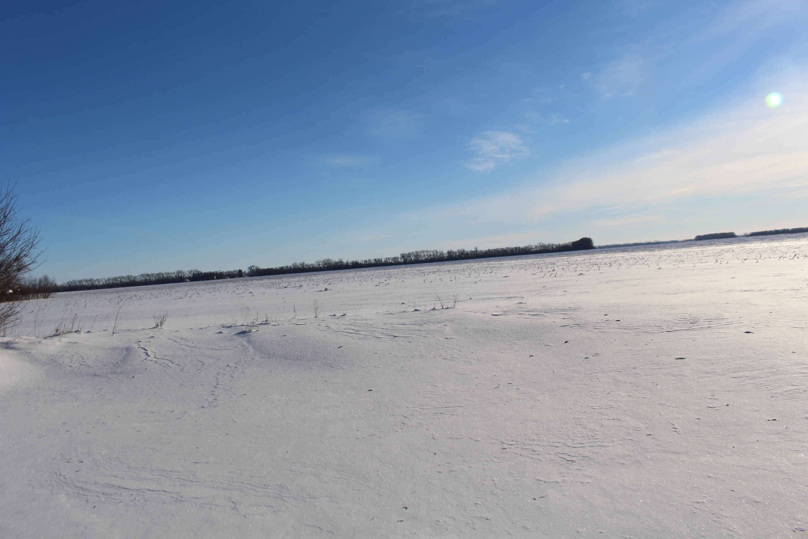 Spring snowstorm a welcome site for western North Dakota crops - Vimarsana News