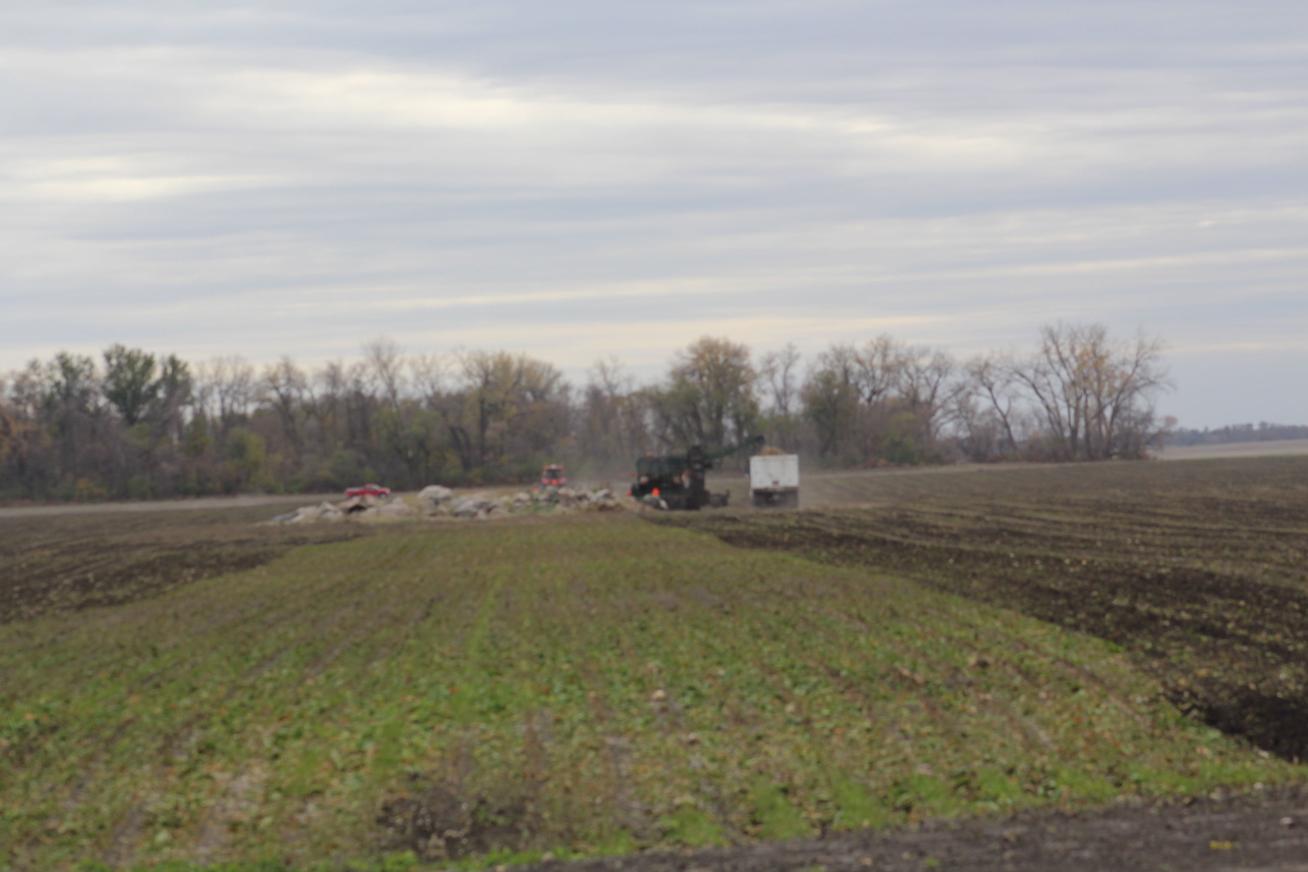 North Dakota State University schedules sugarbeet growers seminars in February - Vimarsana News