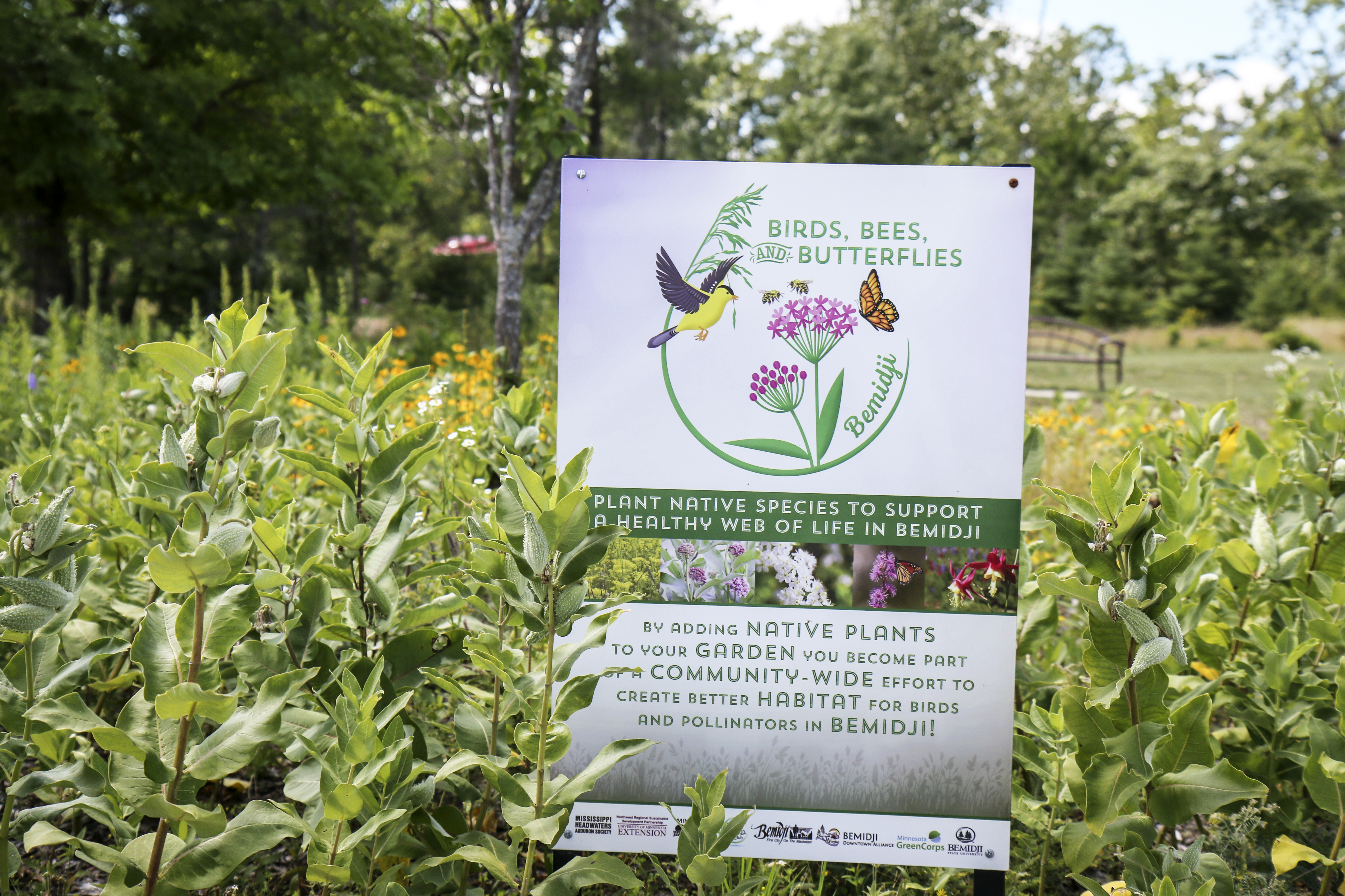 Plans for 'Peace and Freedom' pollinator garden in Bemidji - Bemidji Pioneer | News, weather and sports from Bemidji, Minnesota - Vimarsana News