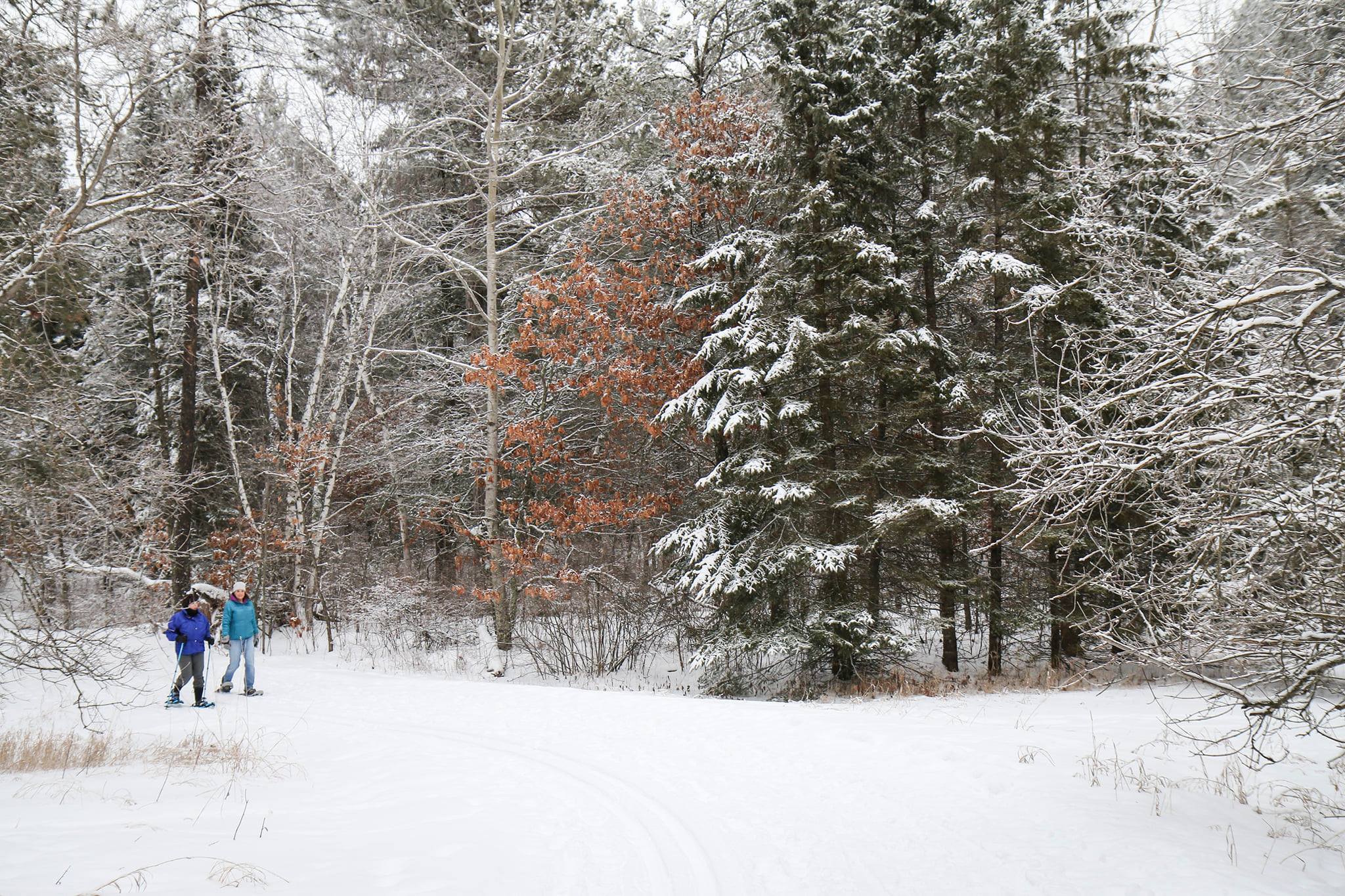 February events planned at Itasca State Park - Vimarsana News