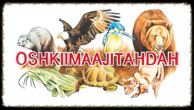 Political candidate fair scheduled for Oct. 25 at Oshkiimaajitahdah in Redby - Vimarsana News