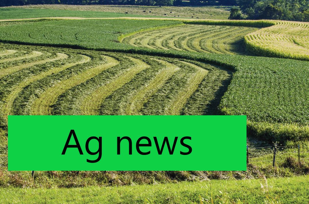 Emerging farmers can apply for up to $15,000 in second round of grant funding program - Vimarsana News
