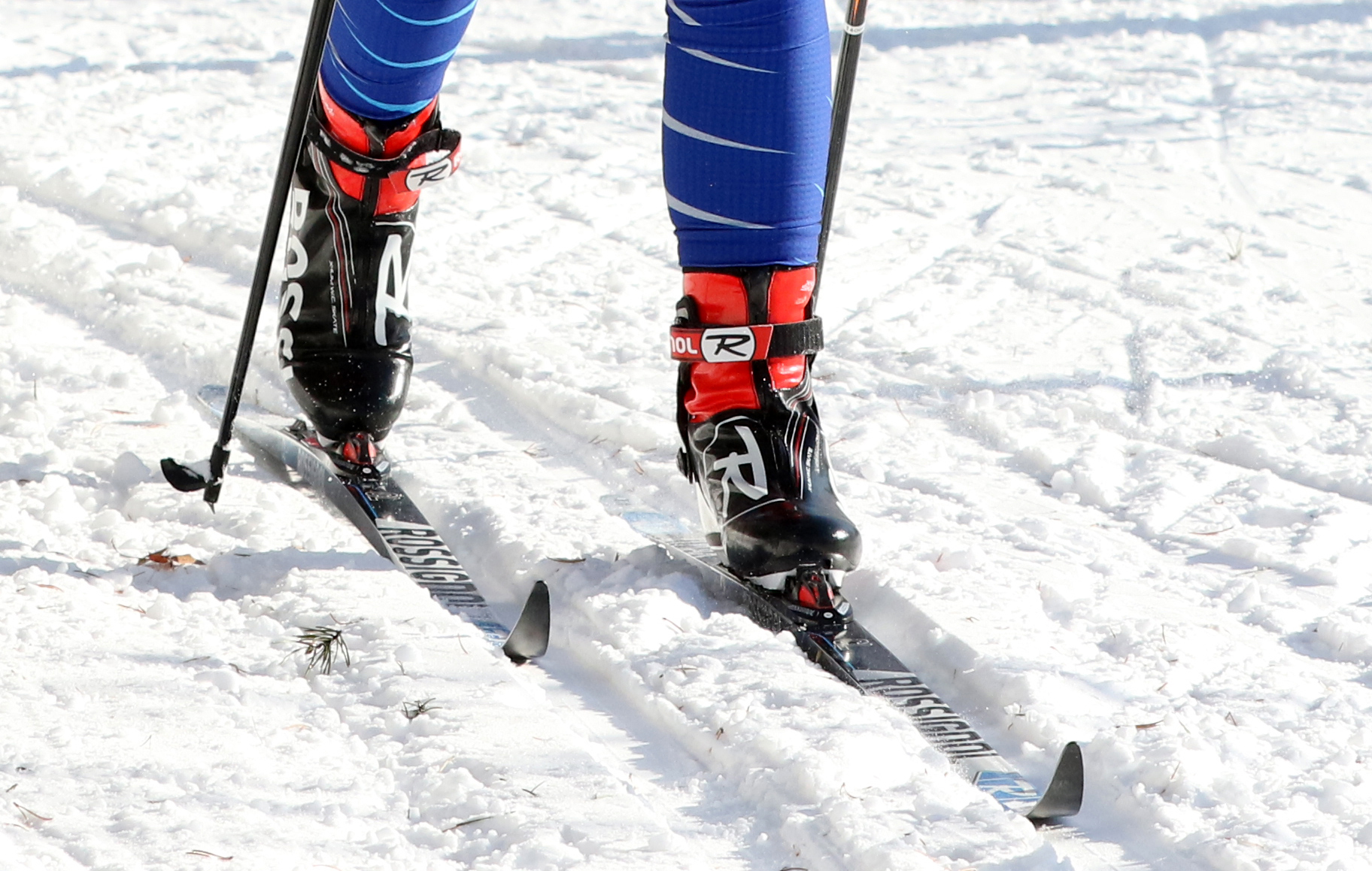 Nordic skiing: Ski club prepping to groom 5 trail systems - Vimarsana News