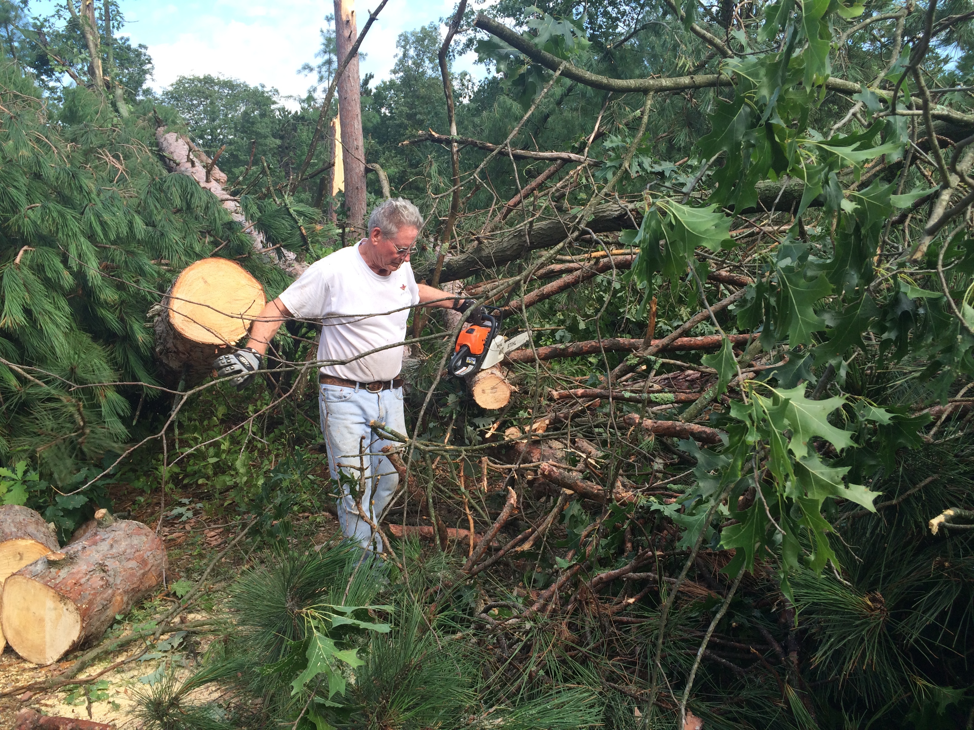 Minnesota town starts cleanup after devastating storm - Vimarsana News
