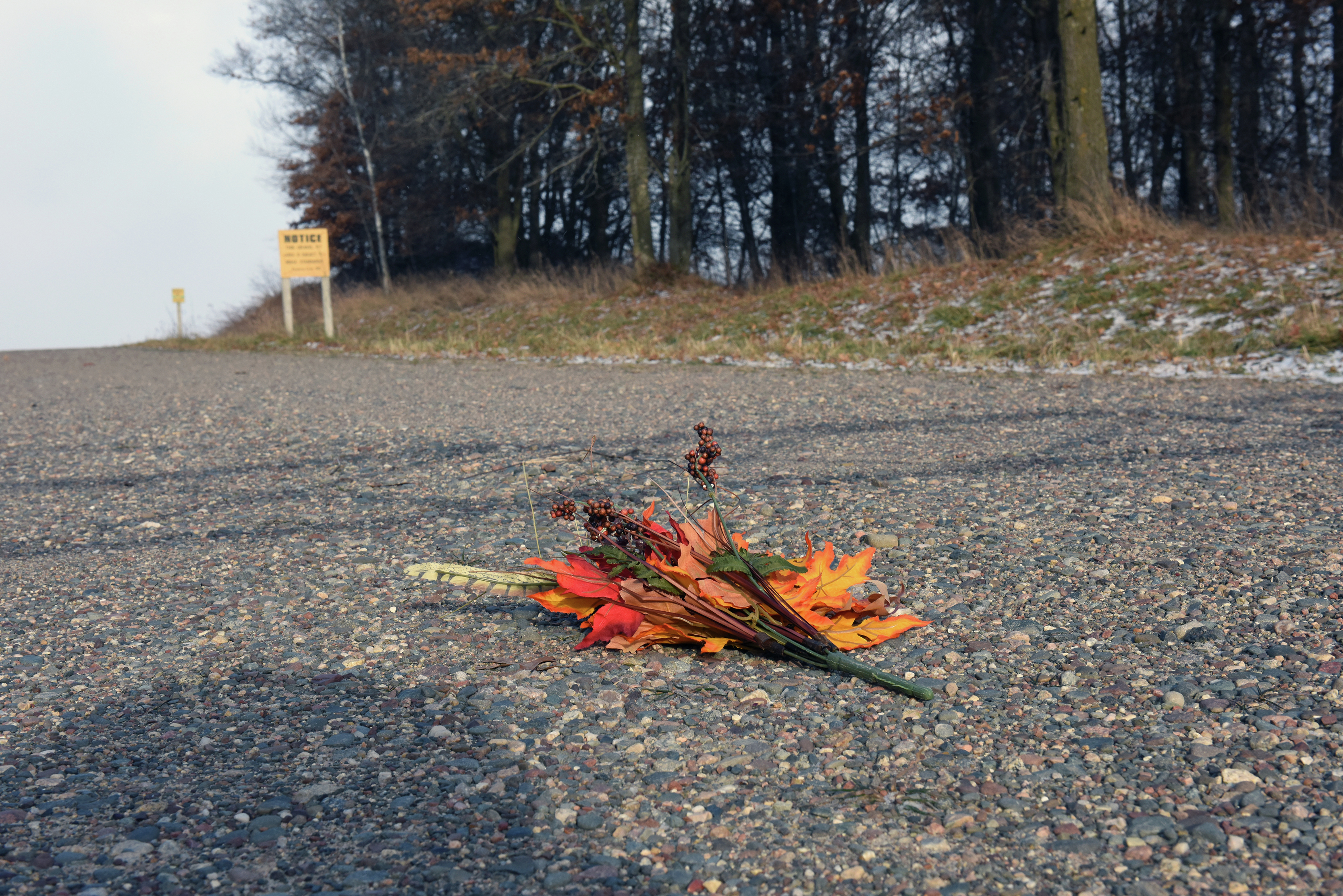 Murder in Morrison County: Investigators rule hunter's death a homicide - Brainerd Dispatch | News, weather, sports from Brainerd and Baxter - Vimarsana News