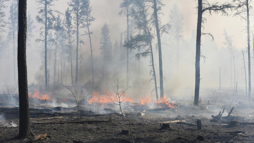 As snowpack disappears wildfire season creeps in to Brainerd area - Vimarsana News