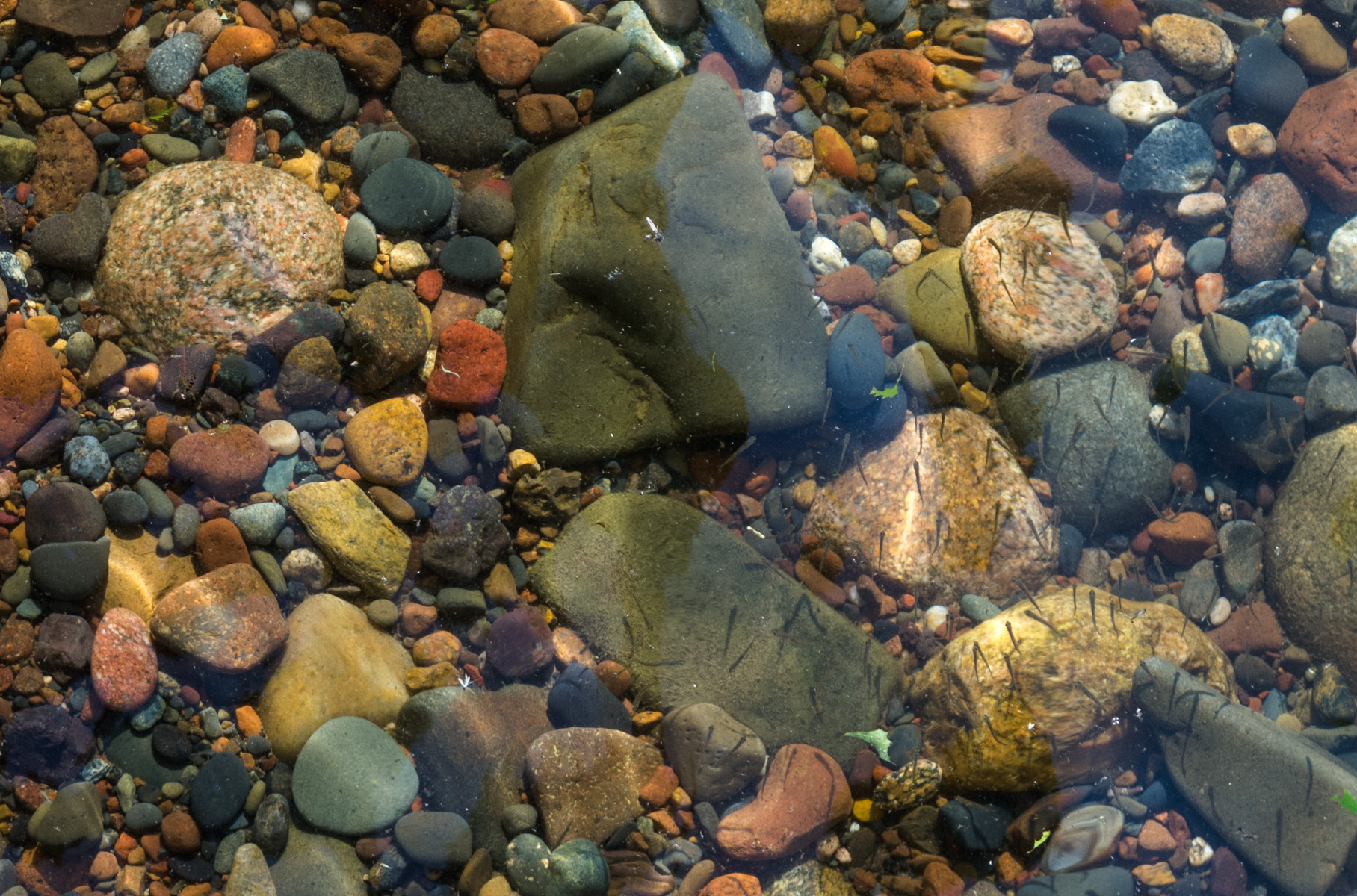 Crow Wing SWCD helps to preserve Twin Cities water source - Vimarsana News
