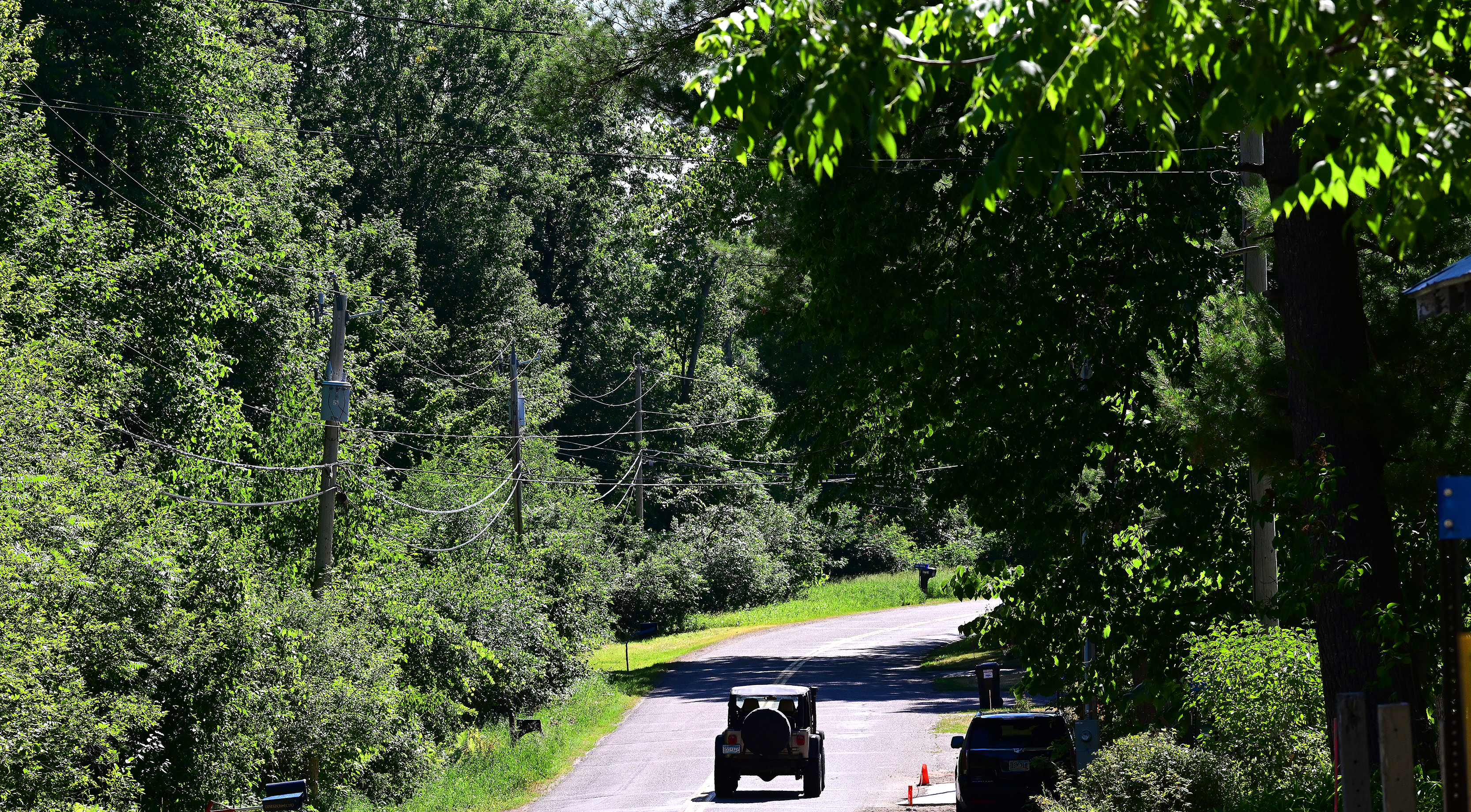 Board approves more right of way for Co Rd 115 project - Vimarsana News