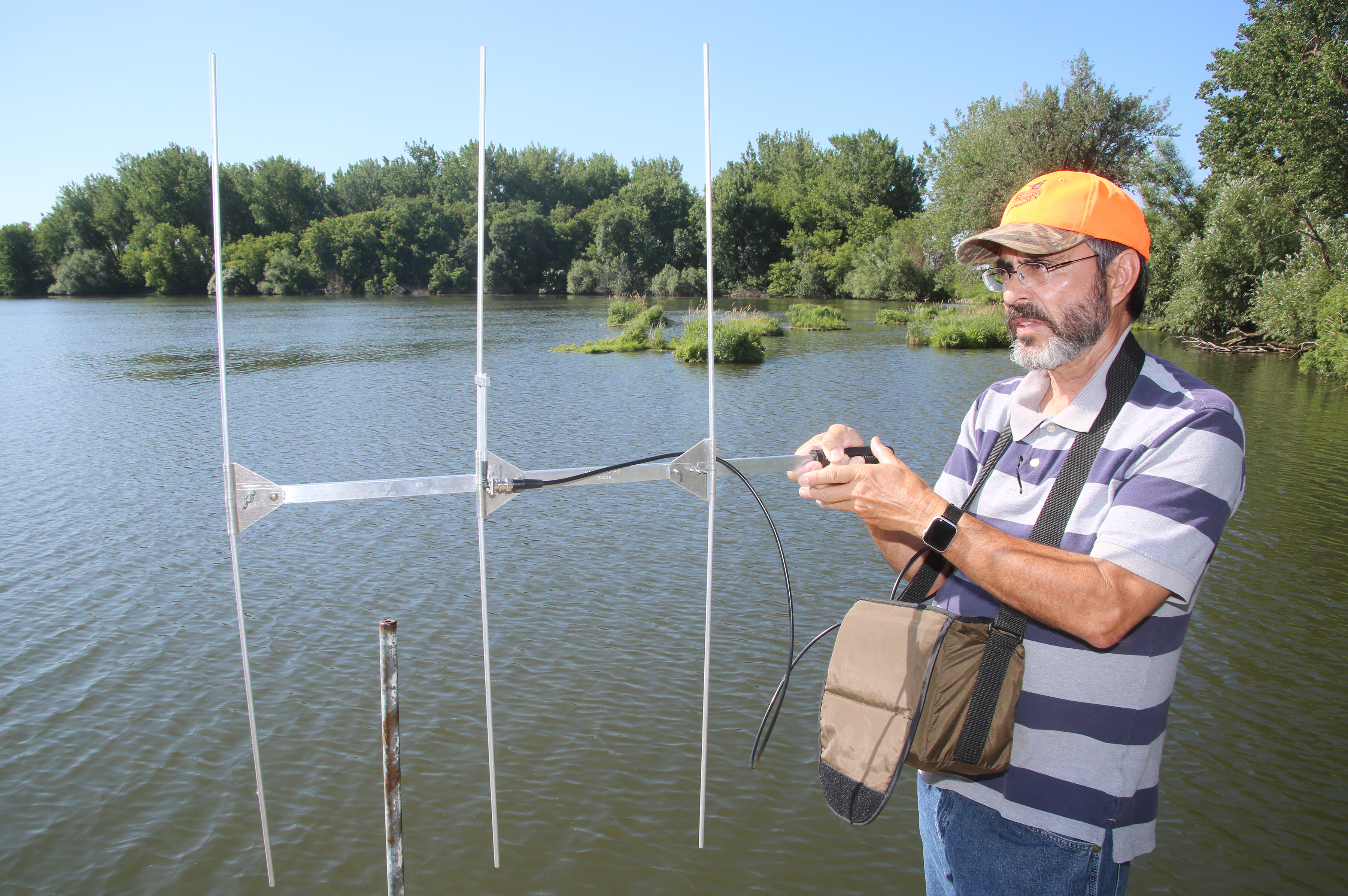 Carp Solutions could make progress on Lake Okabena's carp problem, watershed board hopes - Vimarsana News