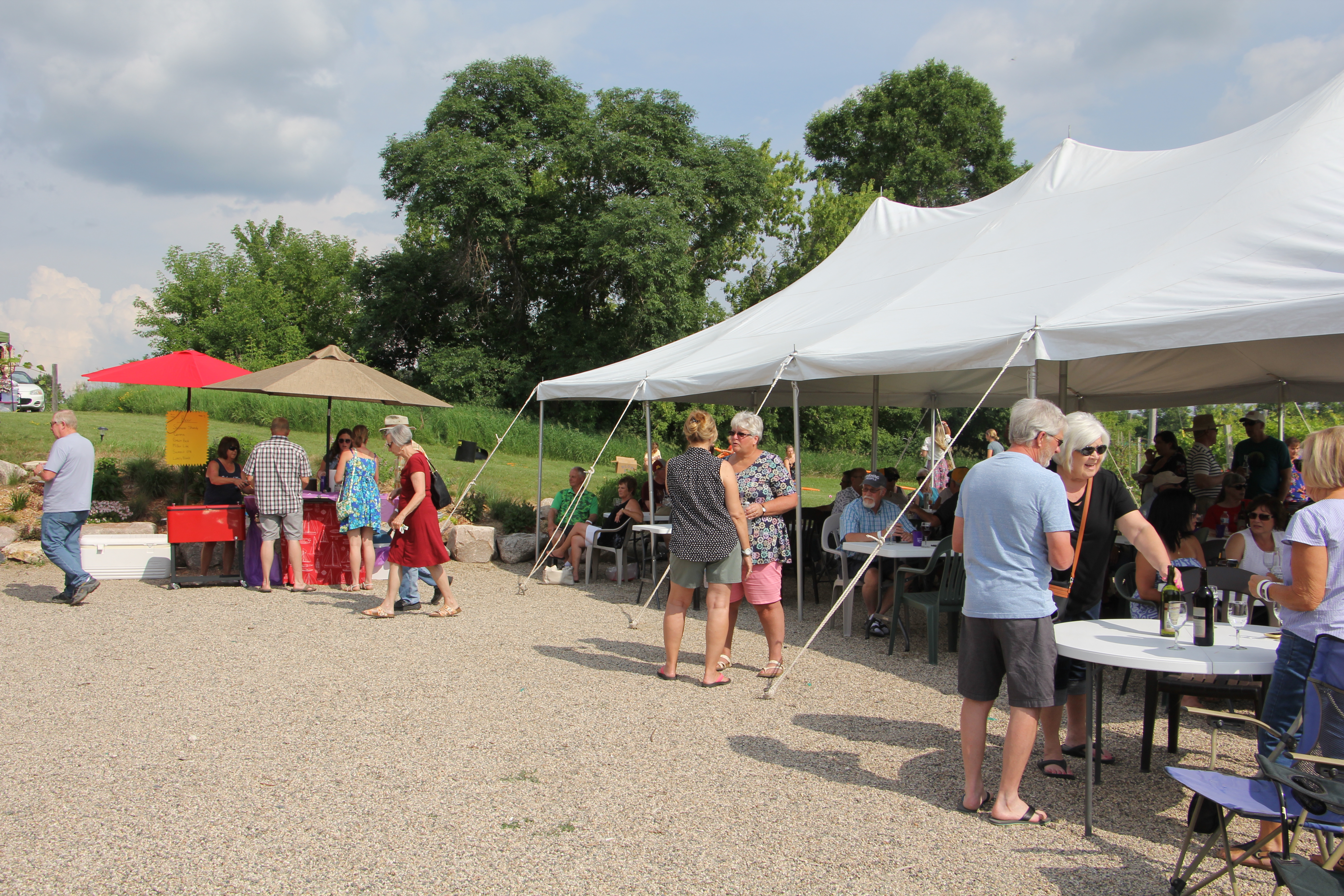 Happenings around the lakes area, June 12-22 - Vimarsana News