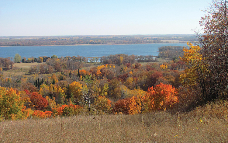Land on Toad Mountain may become a Becker County park - Vimarsana News