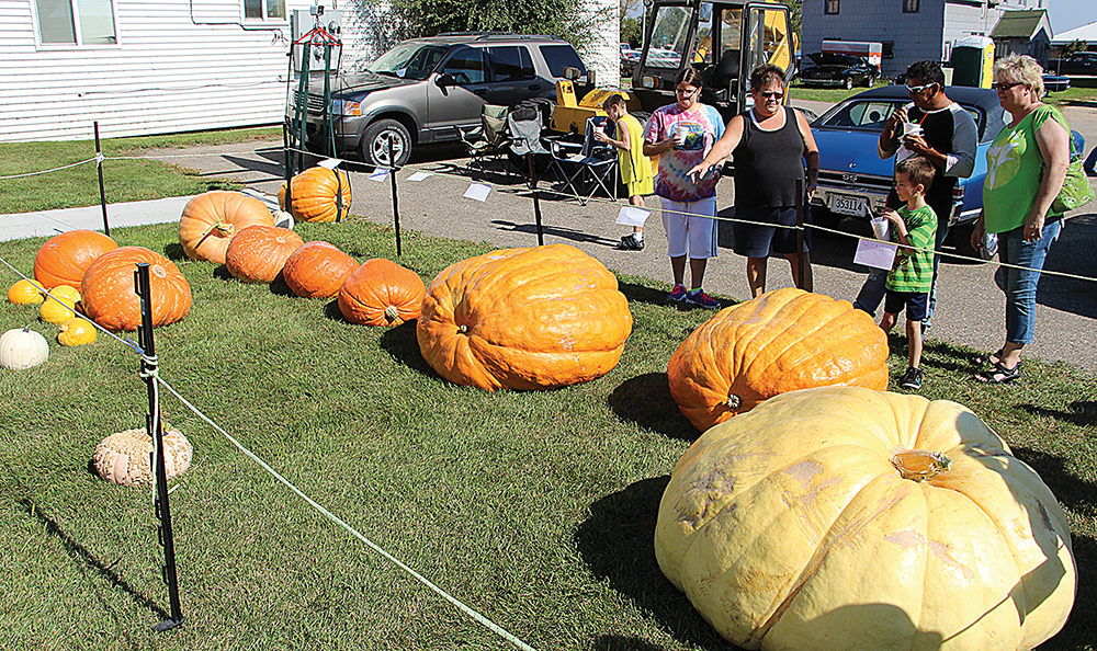 Happenings around the lakes area, Sept. 21-Oct. 1 - Vimarsana News