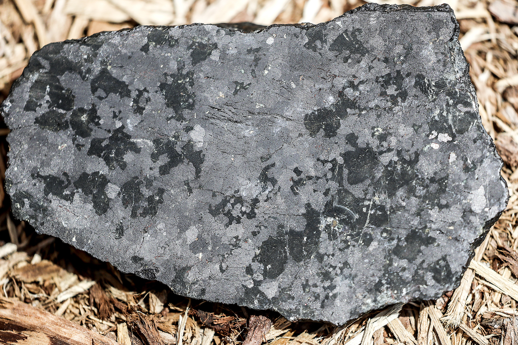 Minnesota titanium, copper-nickel deposits garner new interest - Duluth News Tribune | News, weather, and sports from Duluth, Minnesota - Vimarsana News