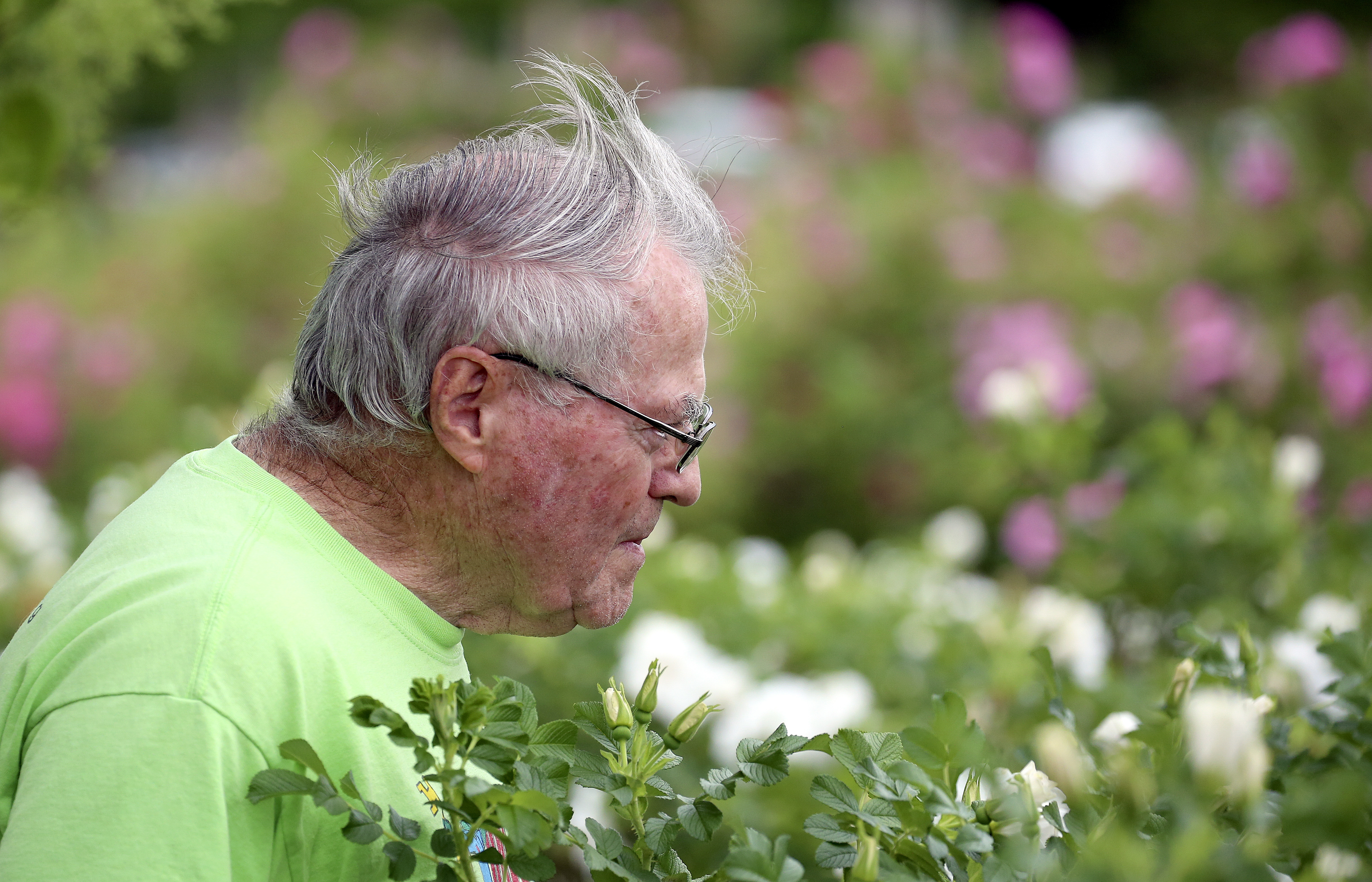 Gardening's good for your health. Minnesota experts weigh in - Vimarsana News