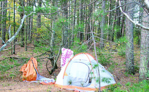 Local View: Duluth really can reduce homelessness, boost the economy - Vimarsana News