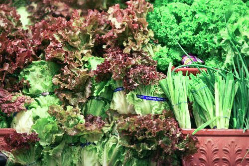 Fresh and delicious spring recipes from Master Gardeners - Vimarsana News