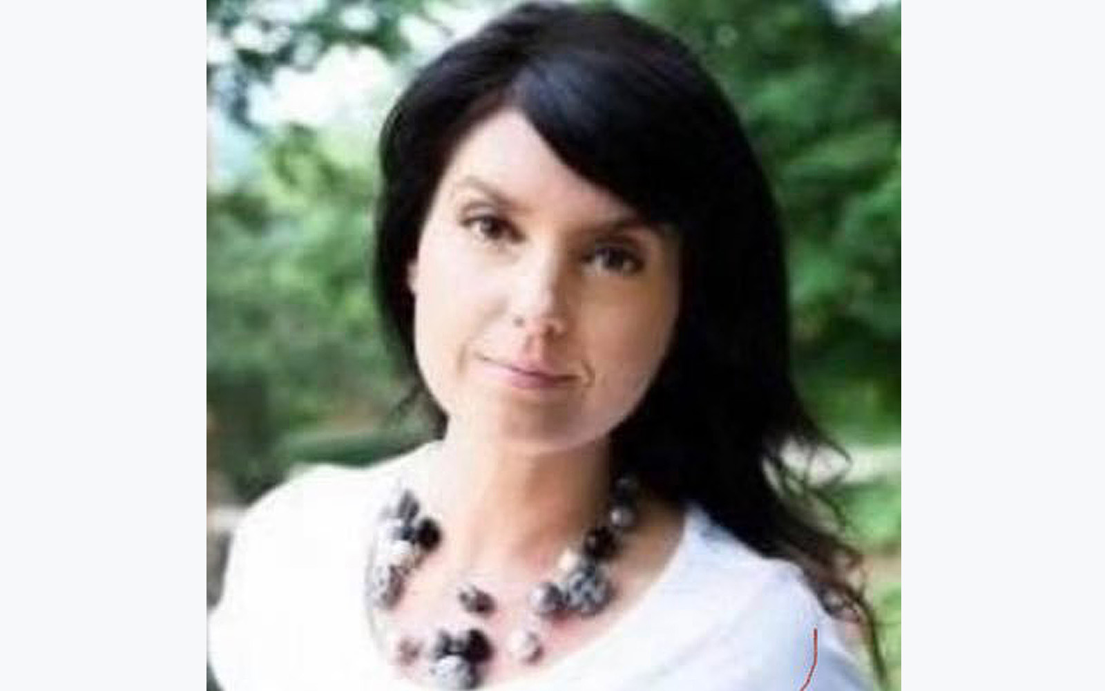 Lastovich drops out of 8th Congressional District race - Vimarsana News