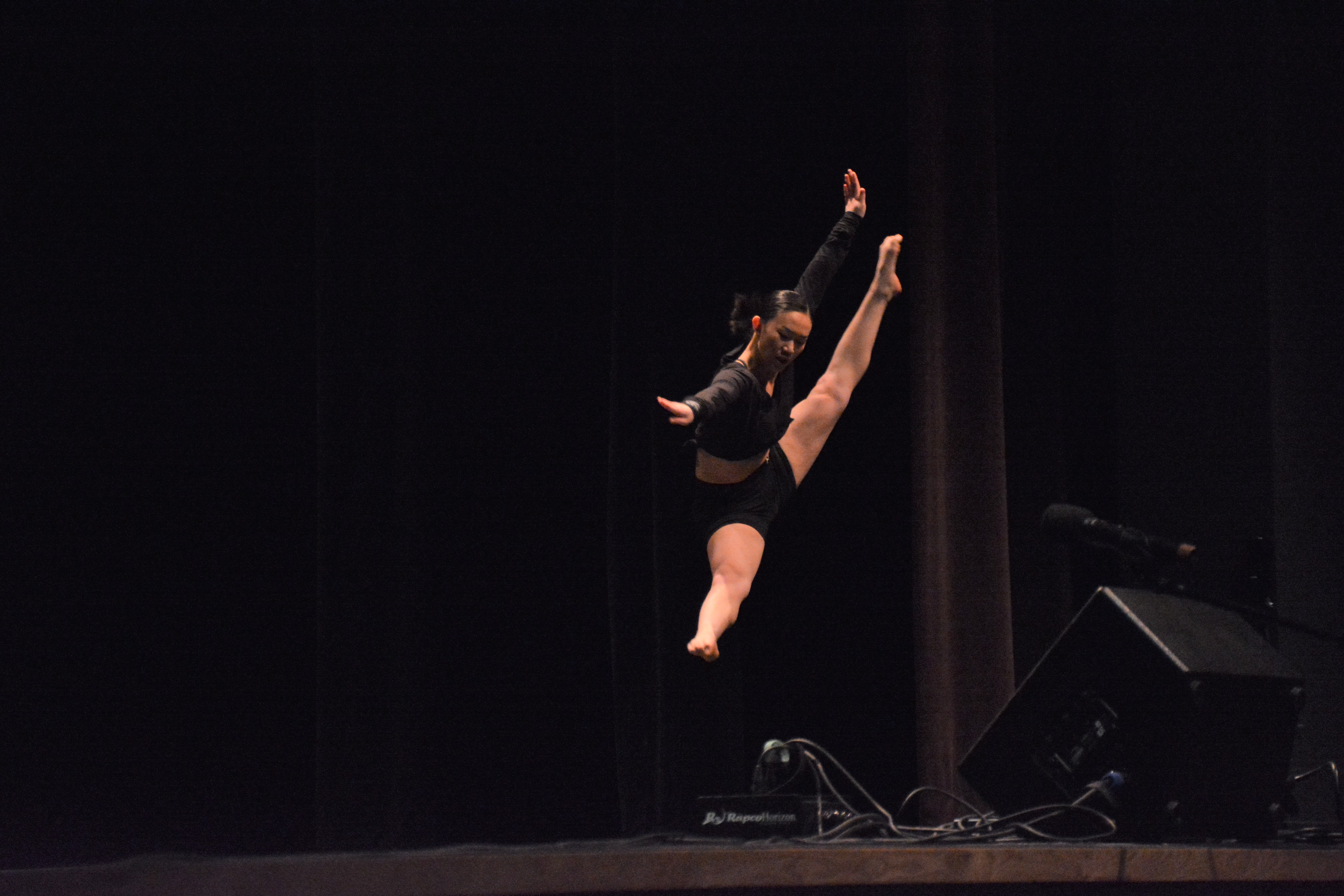 Second annual Alexandria Lakes Area Talent Show now accepting auditions - Vimarsana News