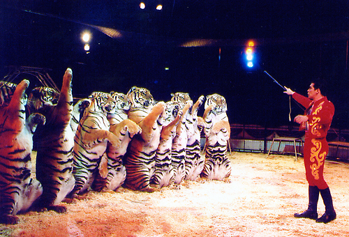 It's Thalen's Turn column: Bread and circuses - Vimarsana News