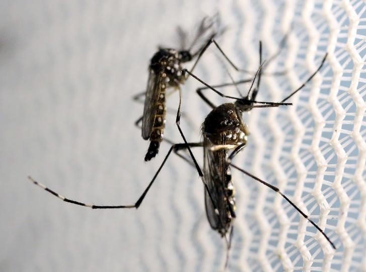 Mosquito numbers highest in years in Fargo-Moorhead metro - Vimarsana News