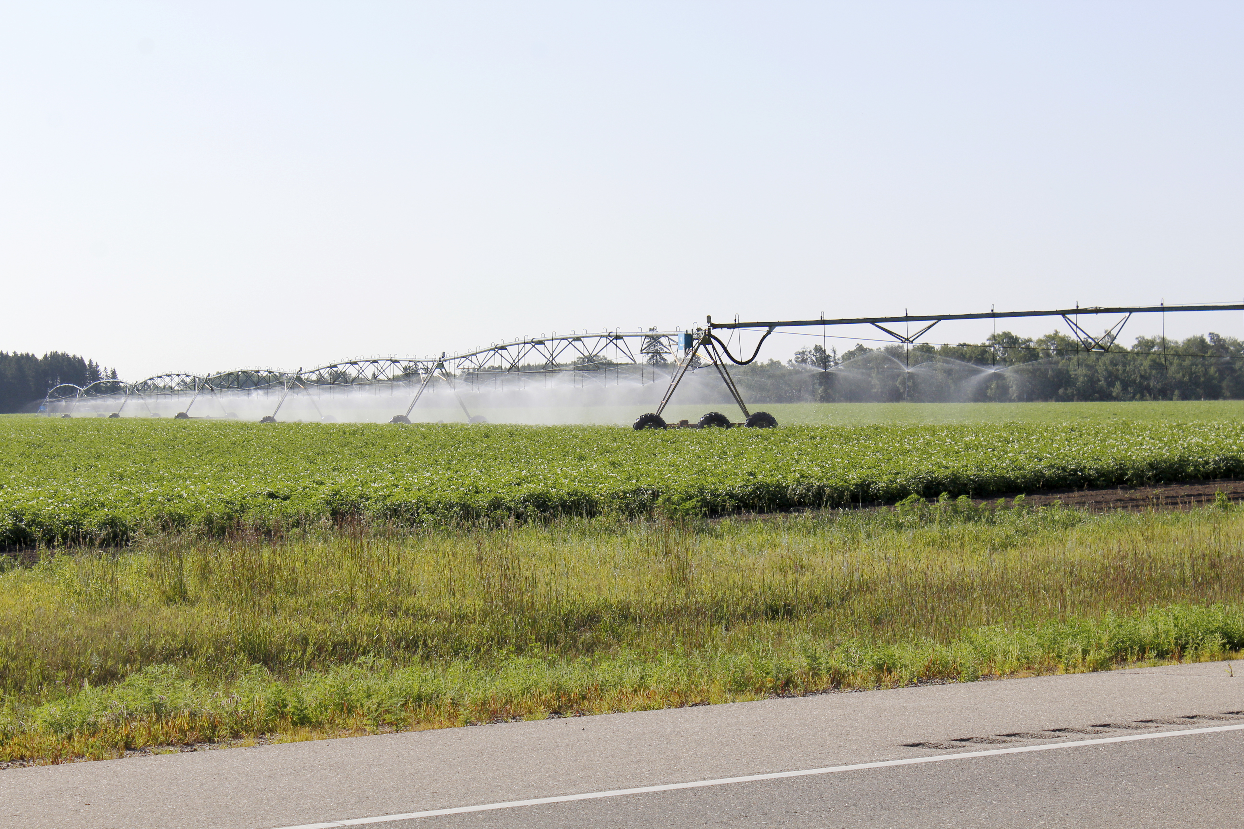 Minnesota aquifer health depends on location and perspective - Vimarsana News