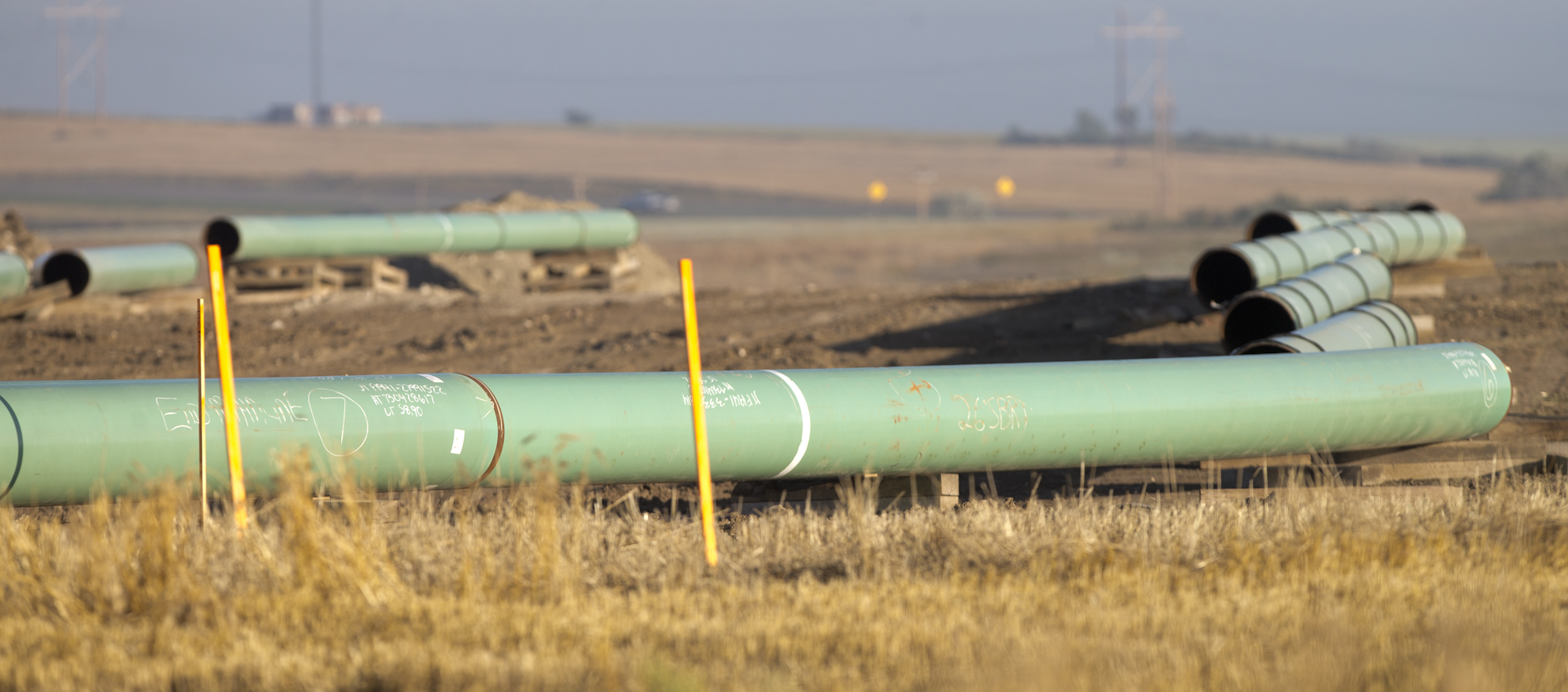 More than 8,000 gallons of oil spill in Williams County after pipeline ruptures - Vimarsana News