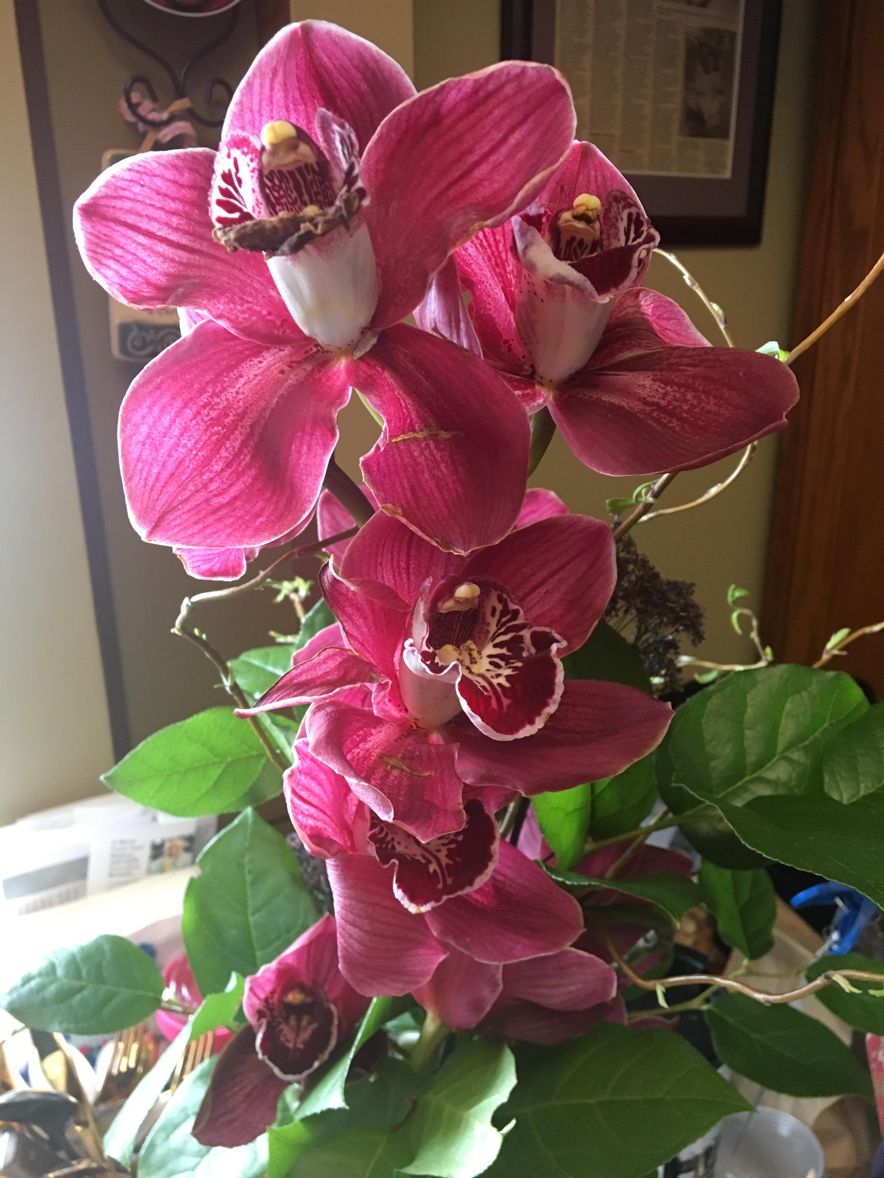 What do flowers have to do with eating disorders? - Vimarsana News