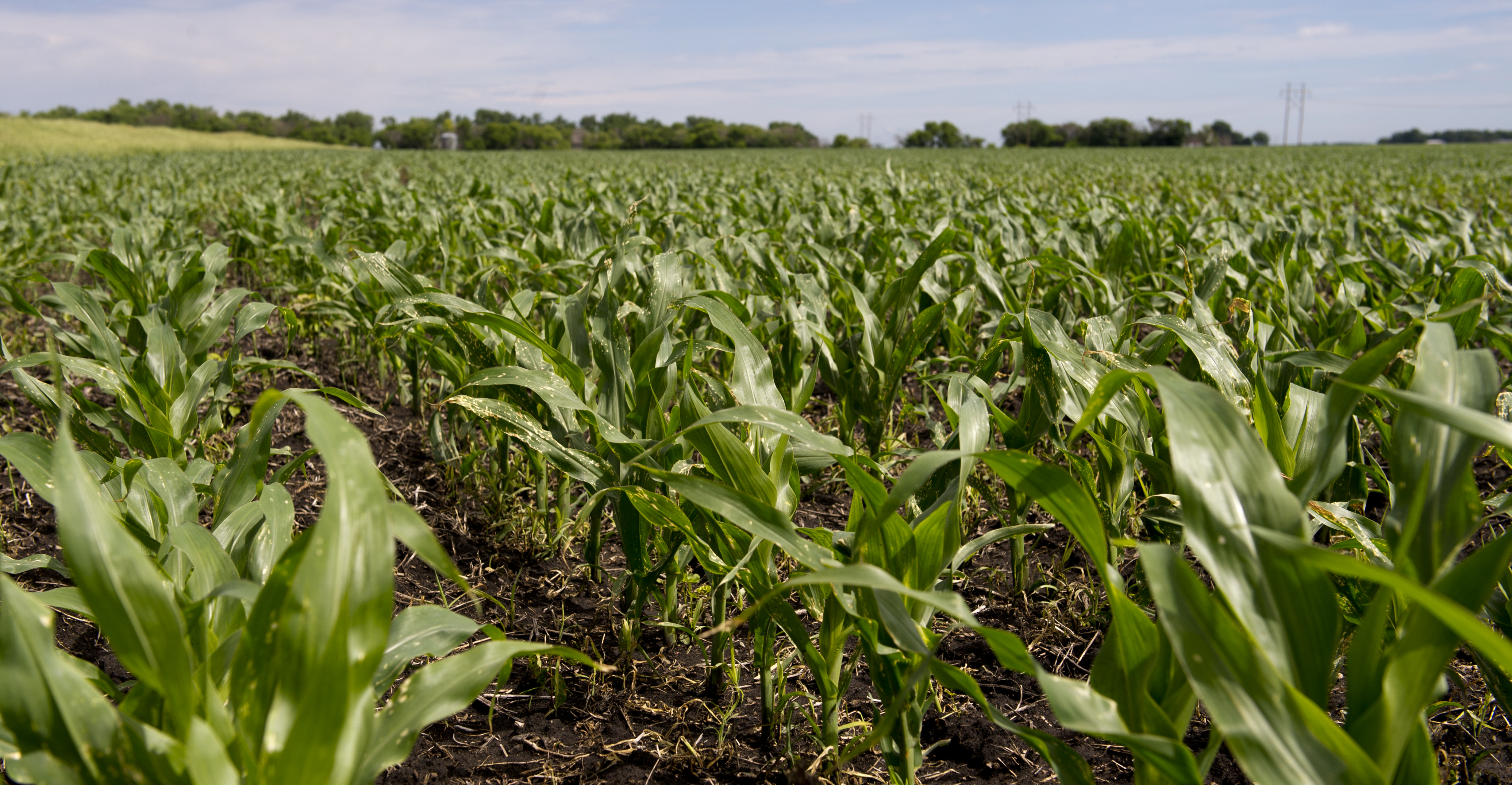 U.S. ethanol industry expands focus to lower-carbon aviation sector - Vimarsana News
