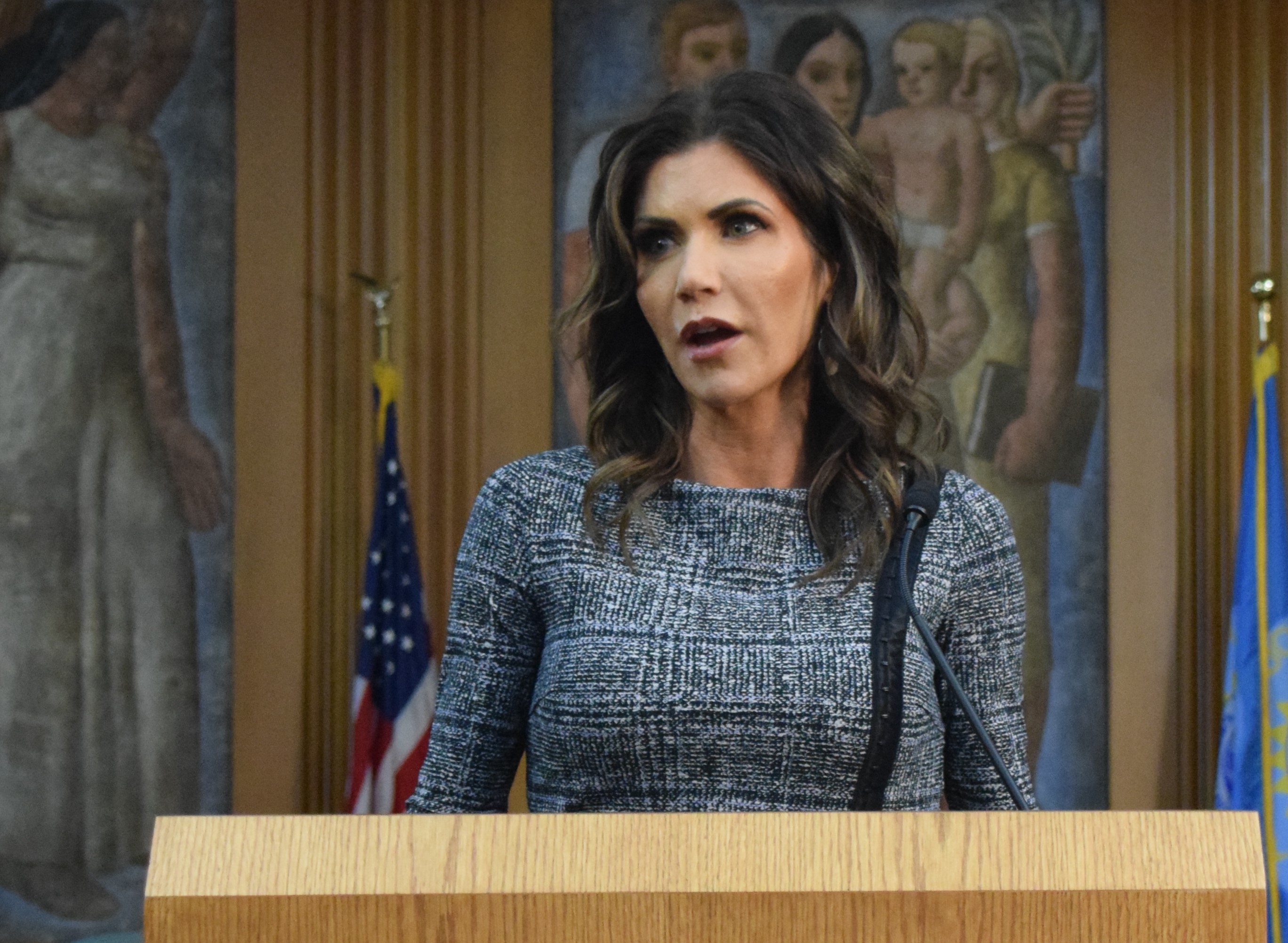 Noem's daughter given novel stipulation agreement for realty appraiser application, says ex-director - Vimarsana News