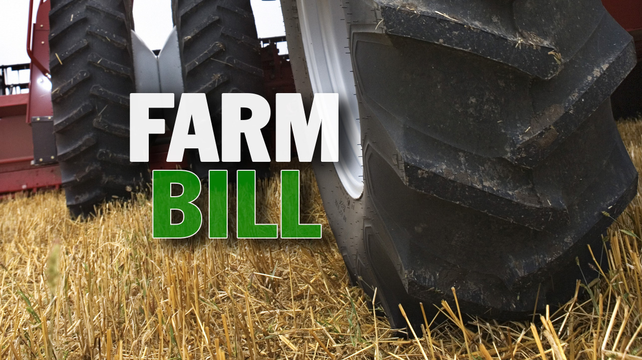 Reps. Brad Finstad and Michelle Fischbach form advisory committees to study farm bill issues - Vimarsana News