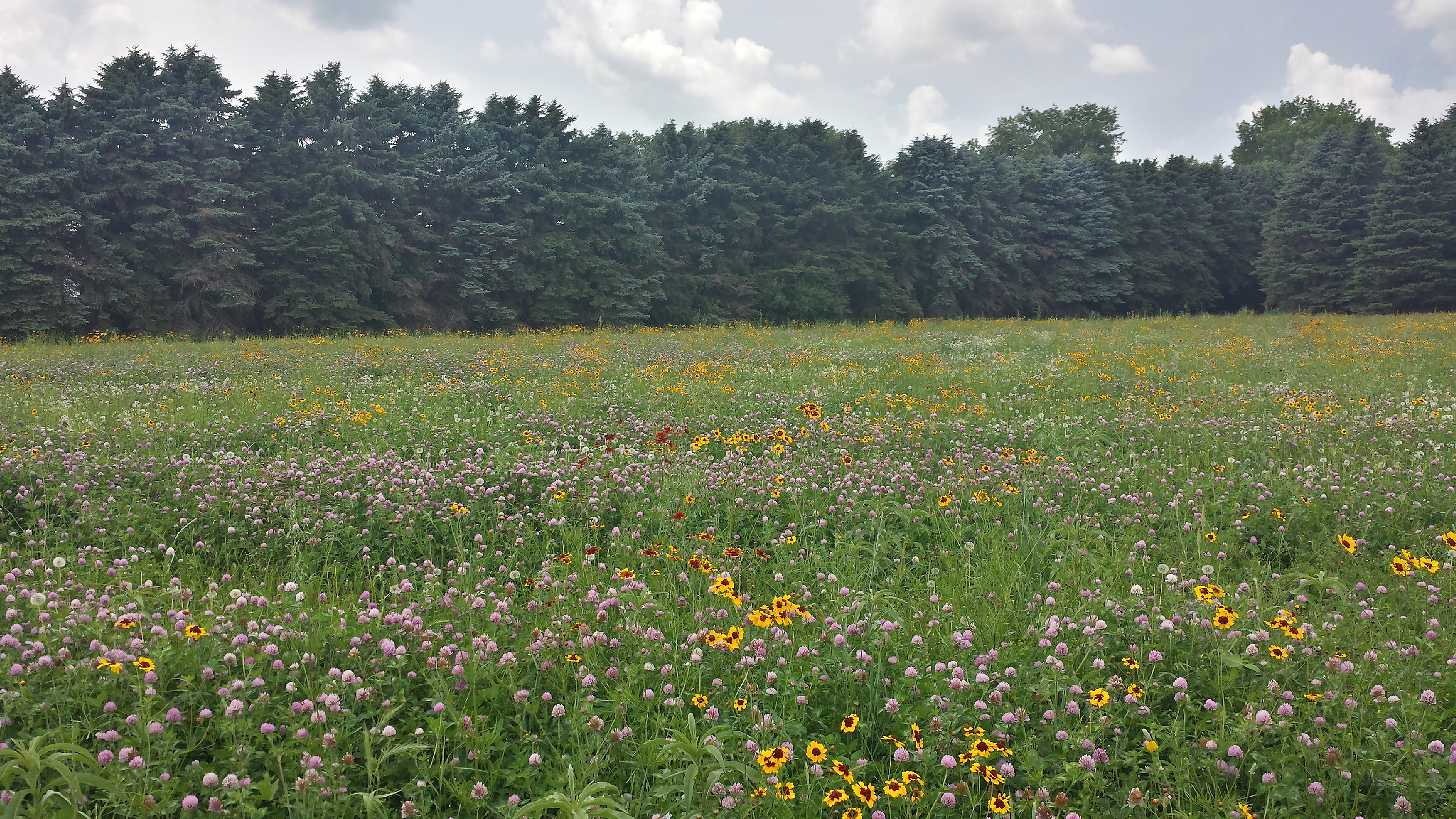 Lawns to Legumes grant applications now accepted - Vimarsana News