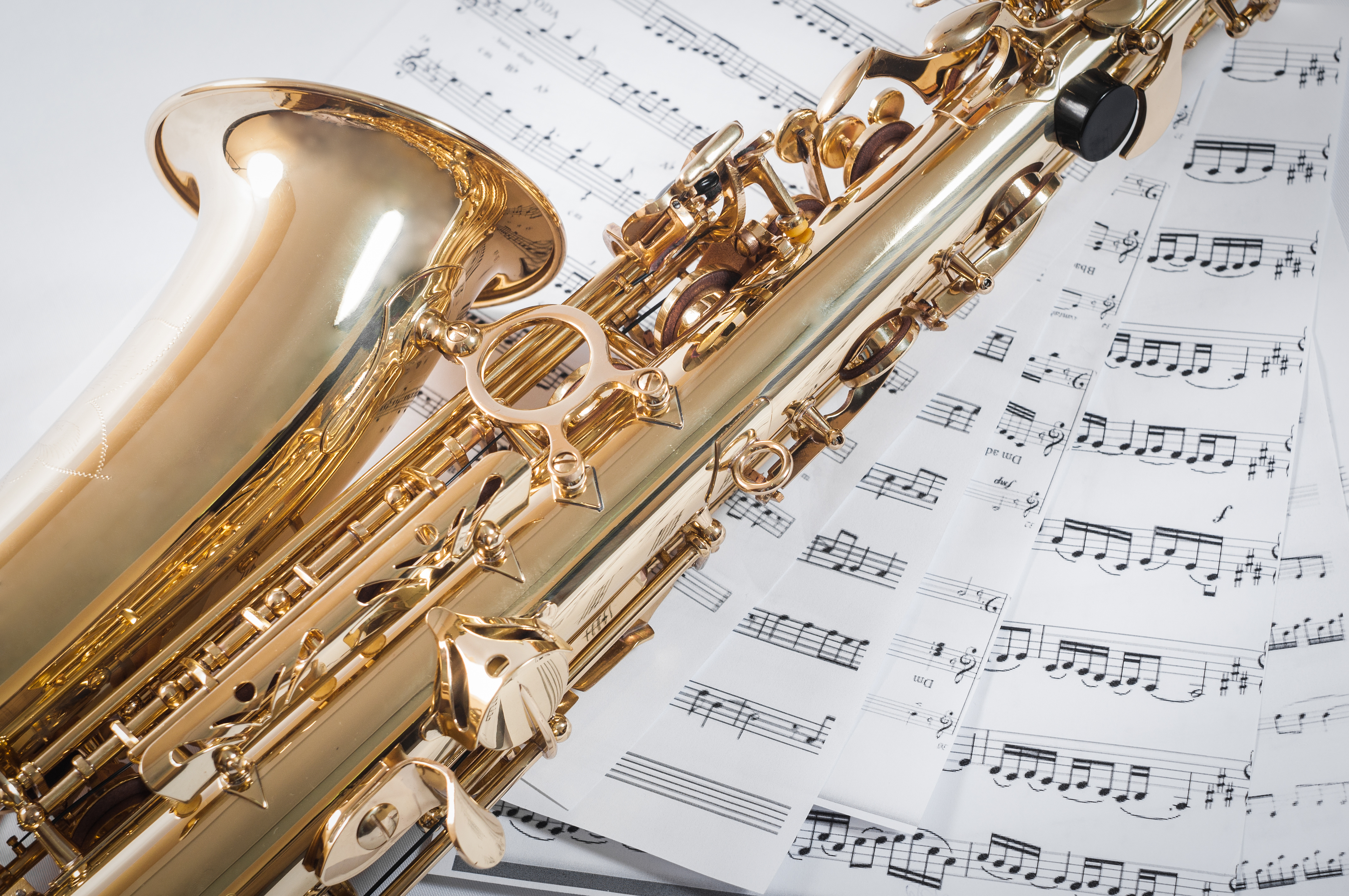 WHS student named to honor band - Vimarsana News
