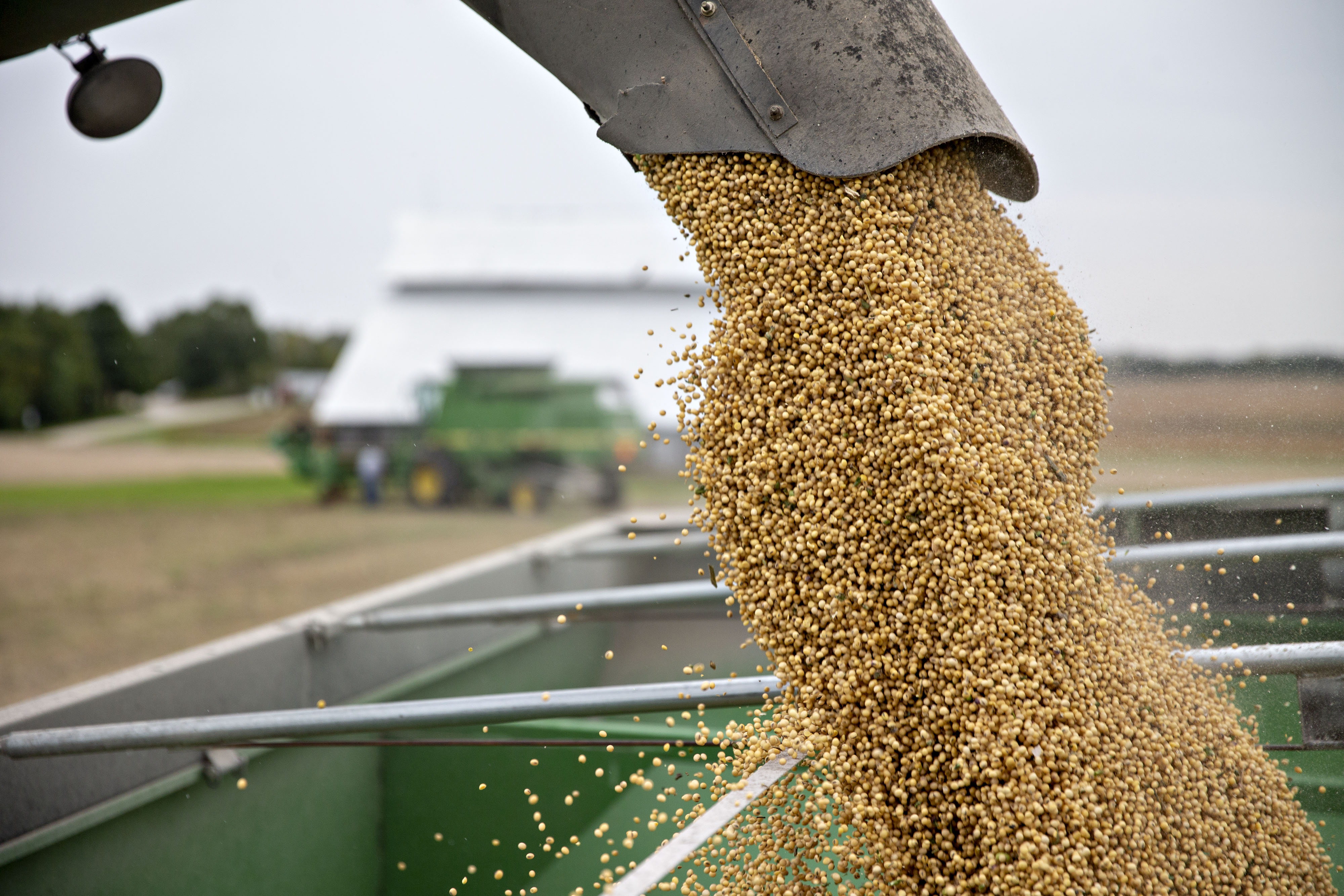 $3M road remodel for new Casselton soybean plant gets go-ahead - Vimarsana News