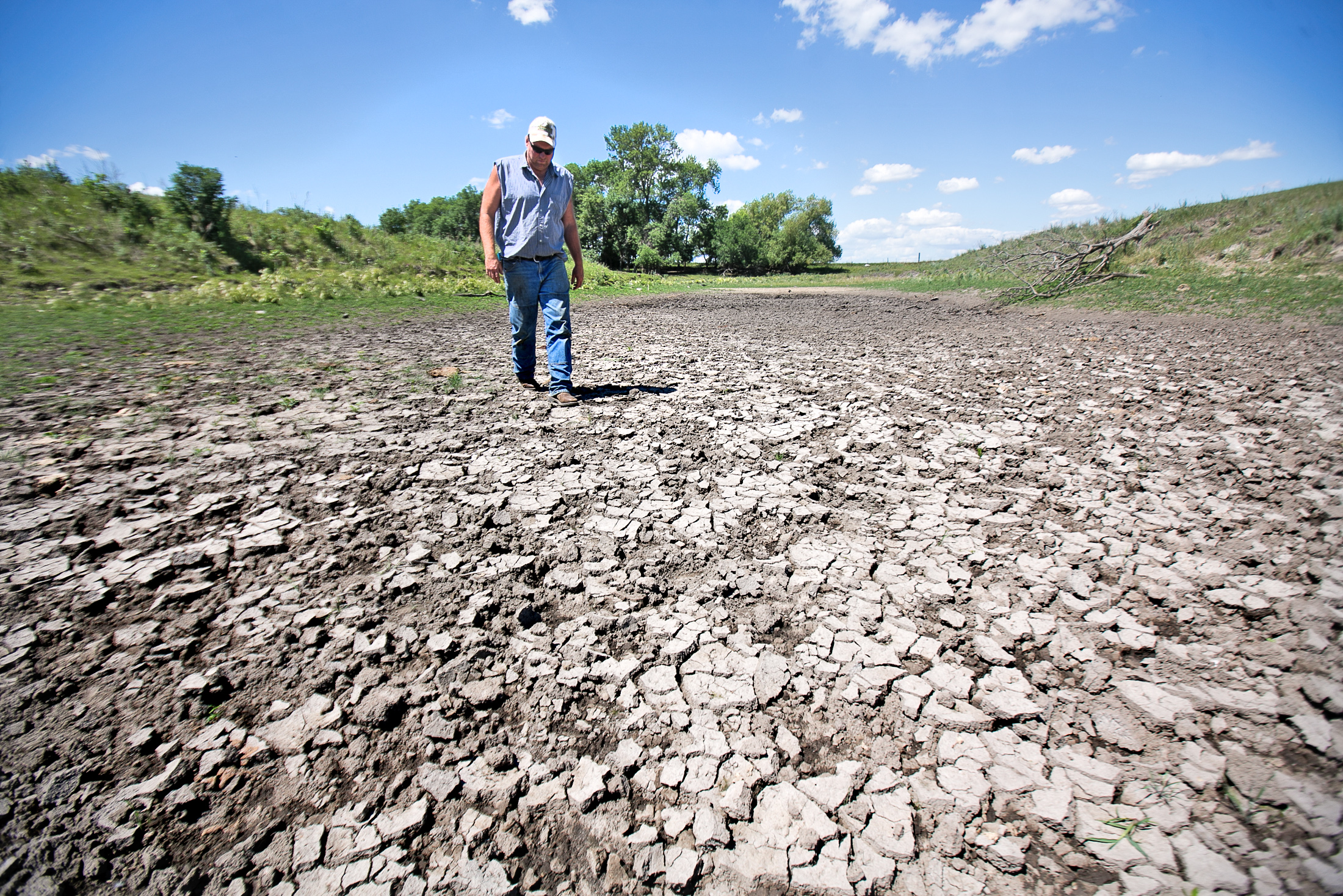 The Herald's top story of 2021: Driest months on record contributed to 2021 drought - Vimarsana News